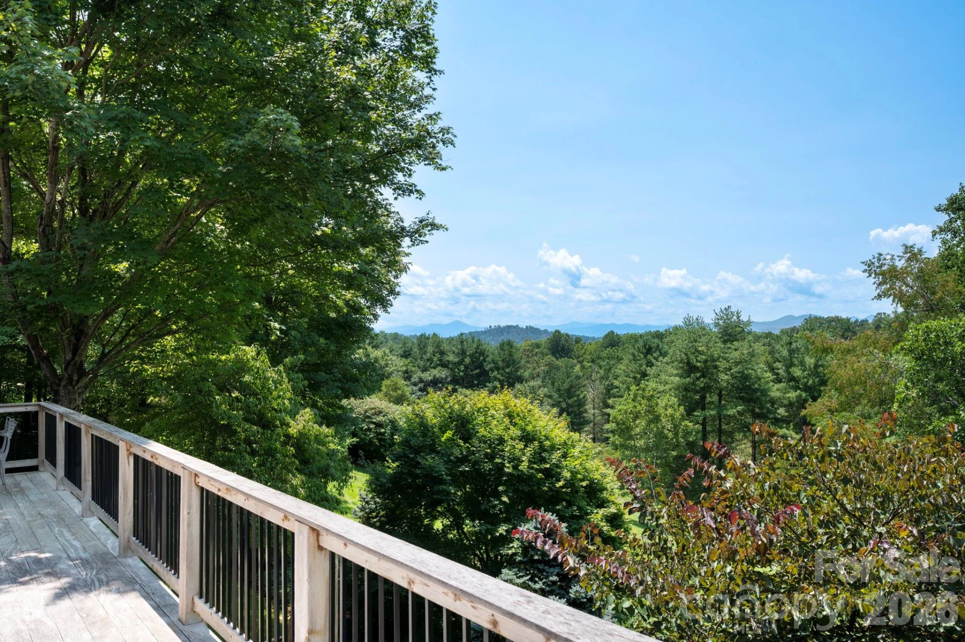 10 Blackberry Lane - Photo 45