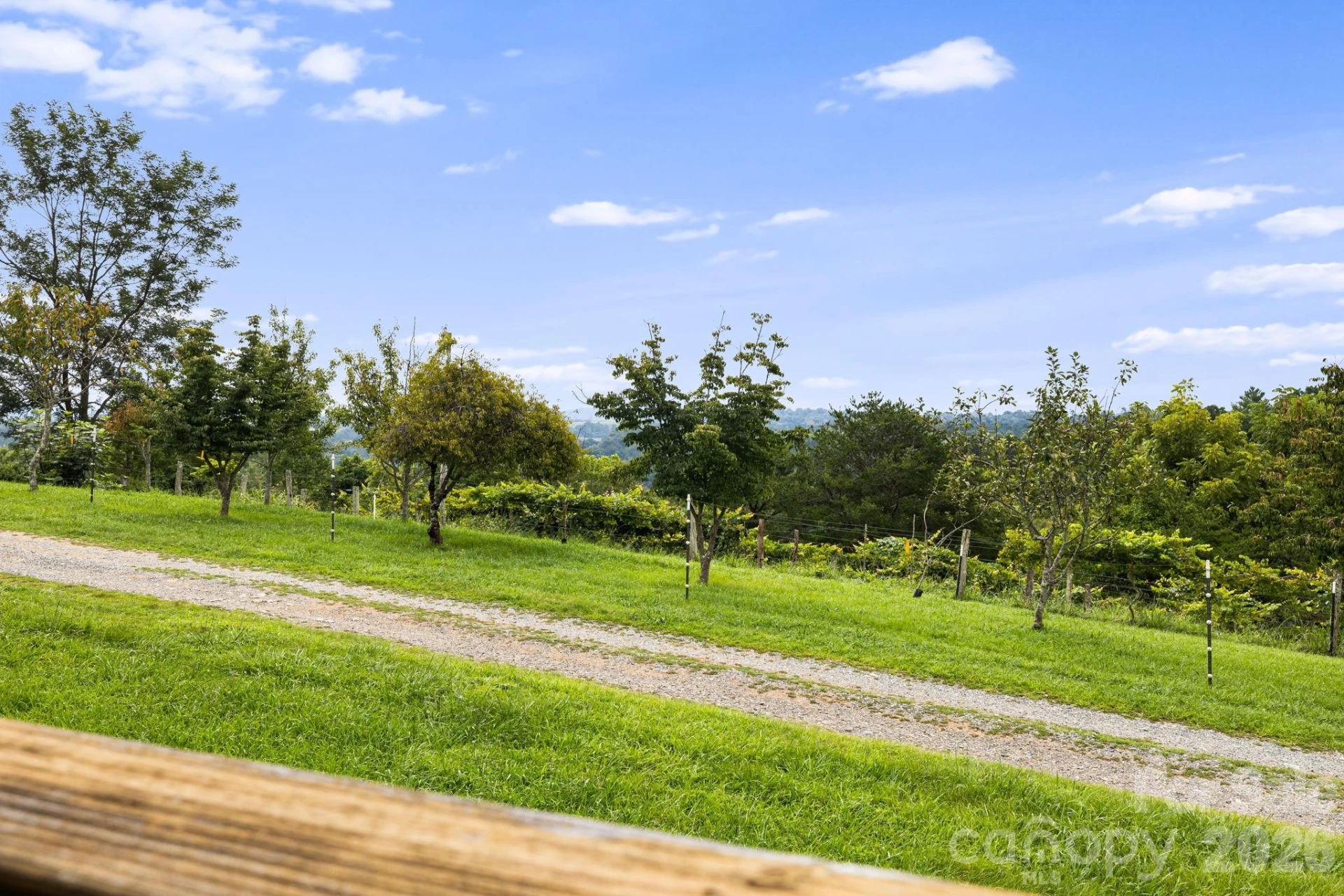 194 Cabin Hollow Drive - Photo 22