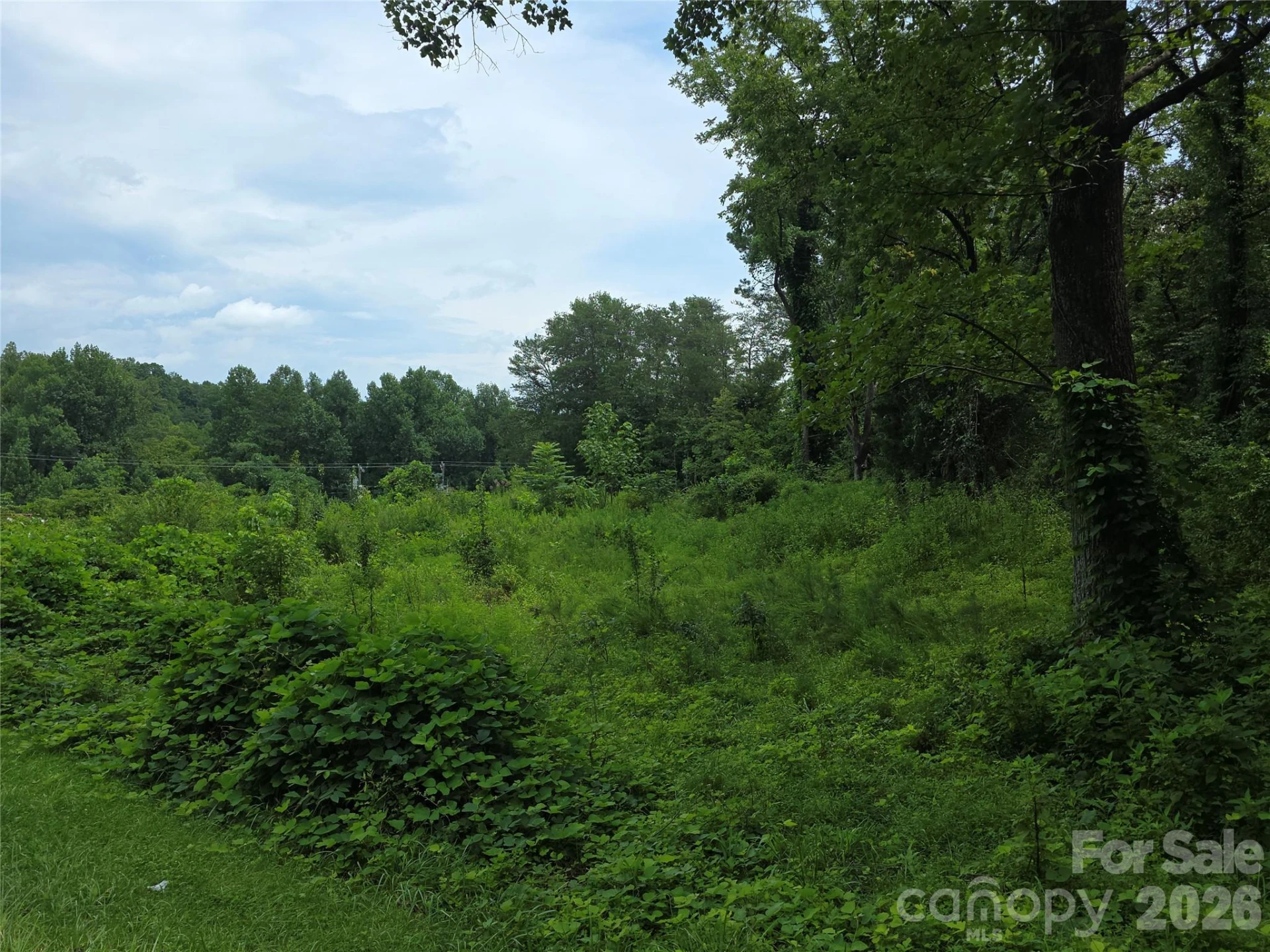 2730 226 Highway S - Photo 8