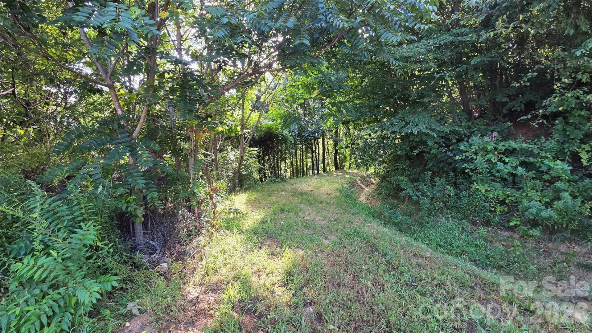 50 Gregory Hill Road - Photo 17