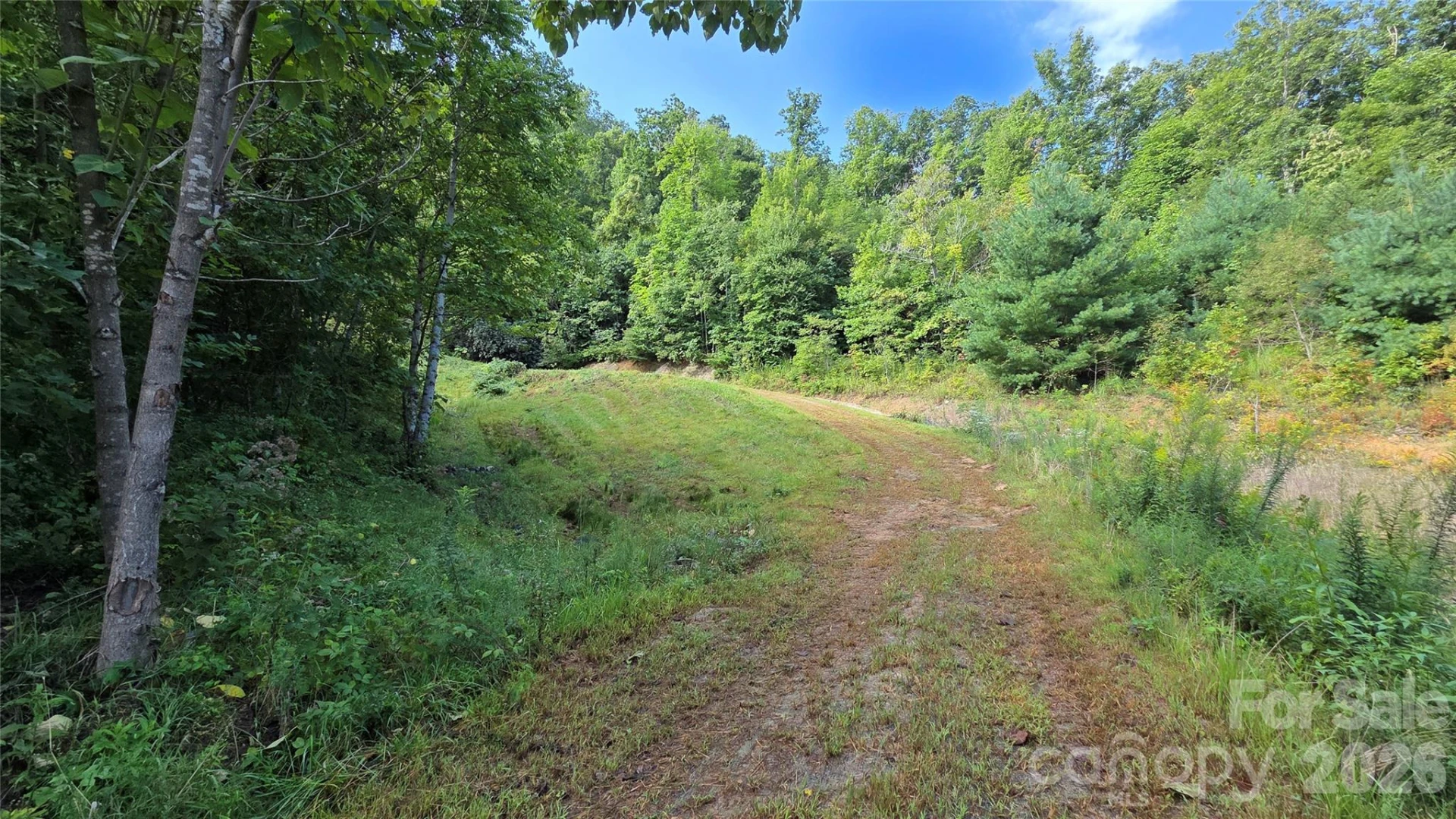50 Gregory Hill Road - Photo 22