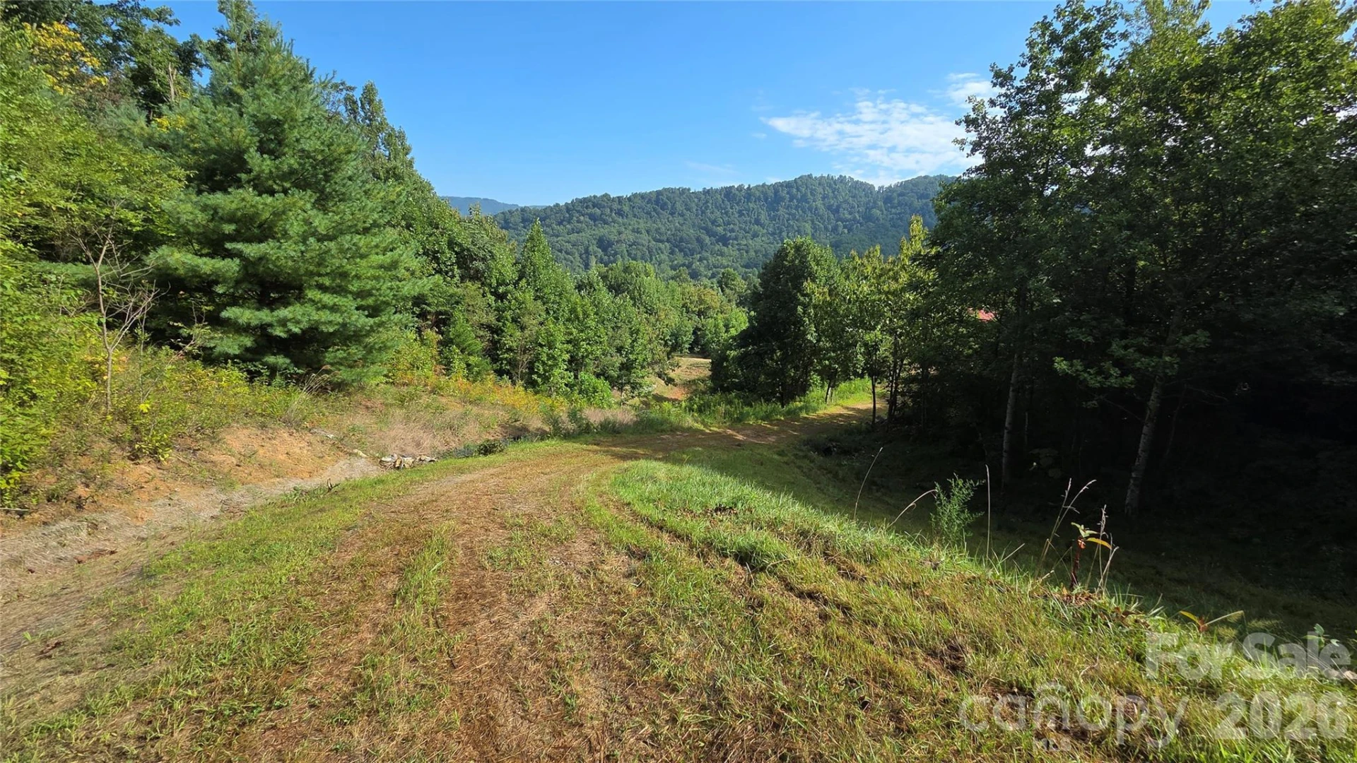 50 Gregory Hill Road - Photo 28