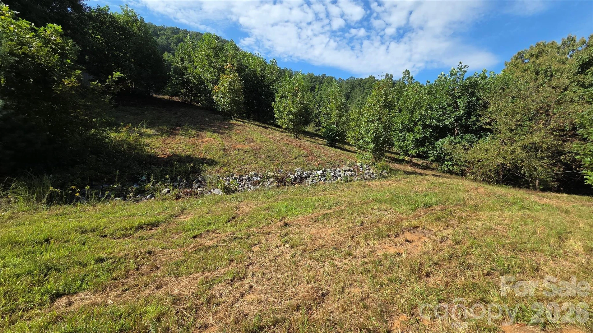 50 Gregory Hill Road - Photo 35