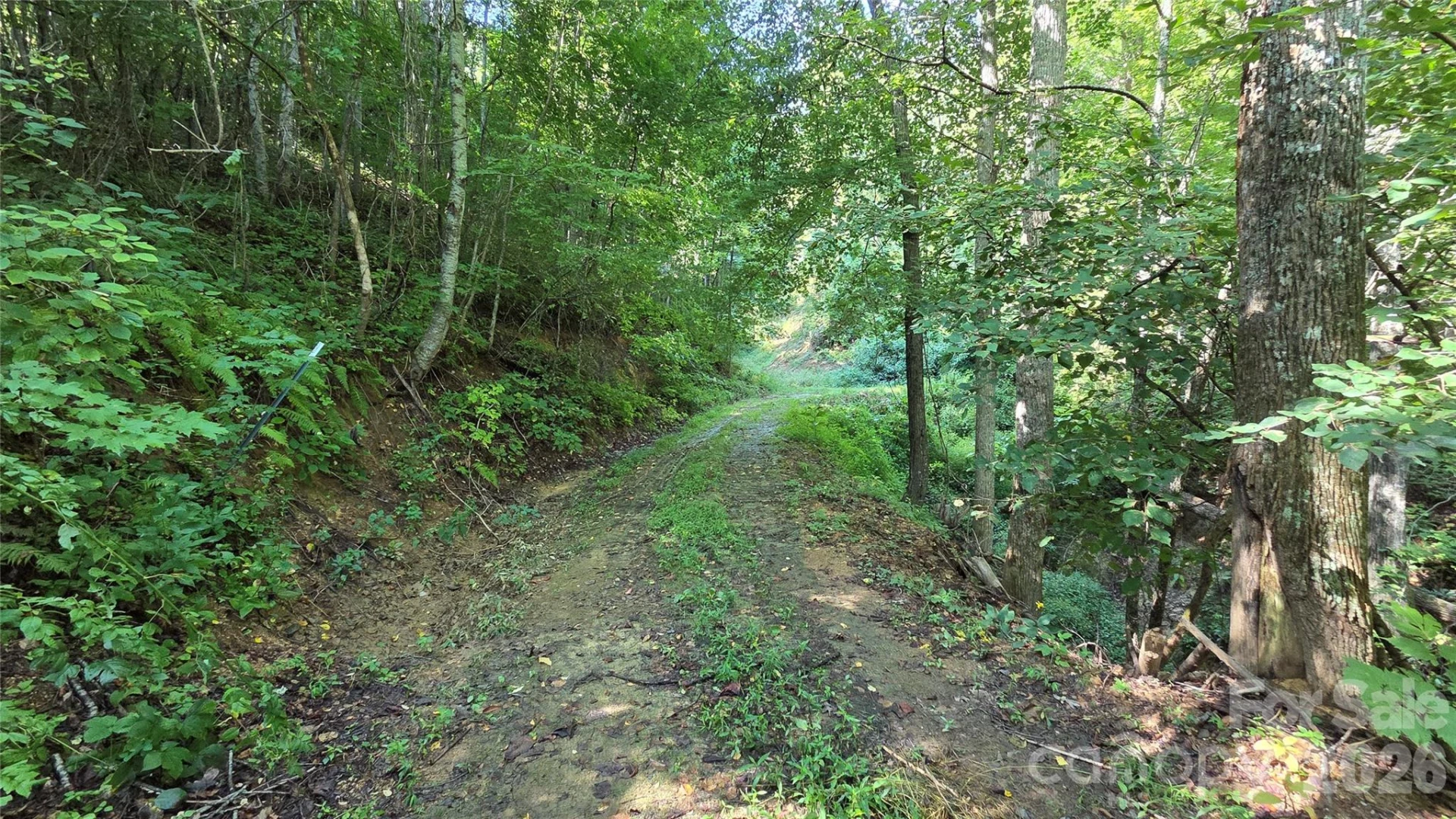 50 Gregory Hill Road - Photo 37