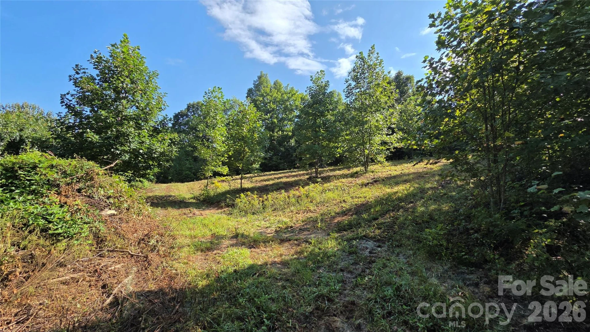 50 Gregory Hill Road - Photo 40
