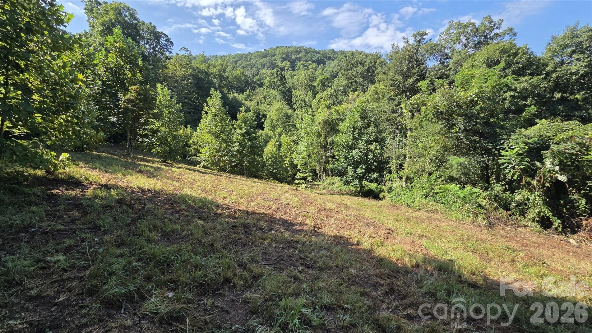 50 Gregory Hill Road - Photo 41