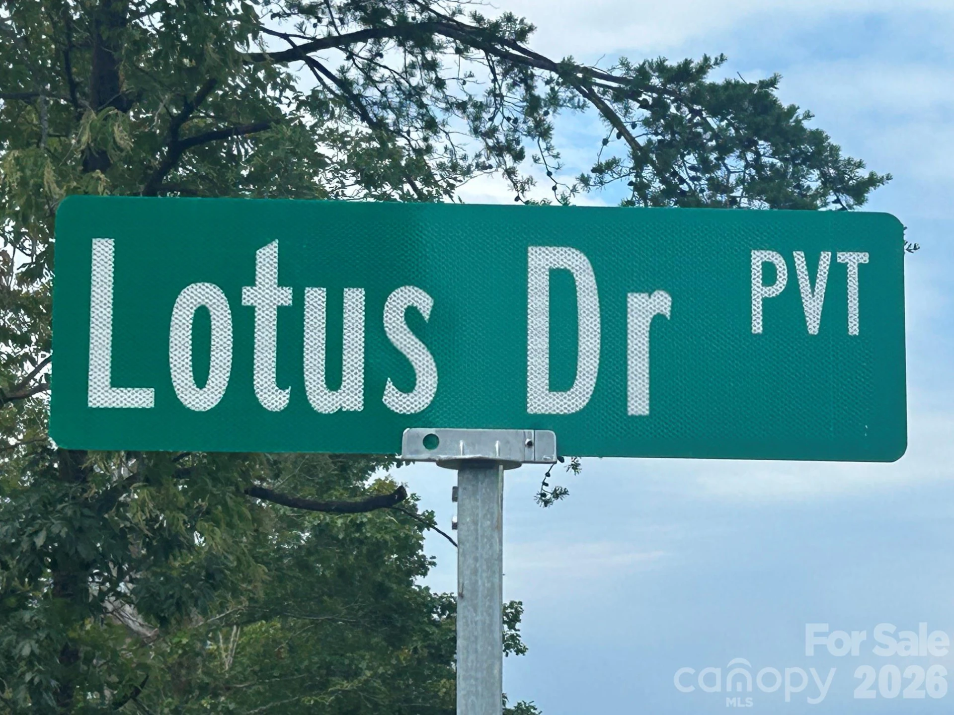 V/L Lotus Drive #19 - Photo 5