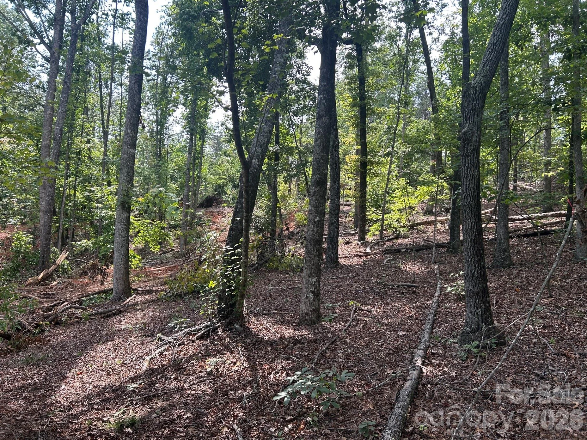 V/L Lotus Drive #19 - Photo 13