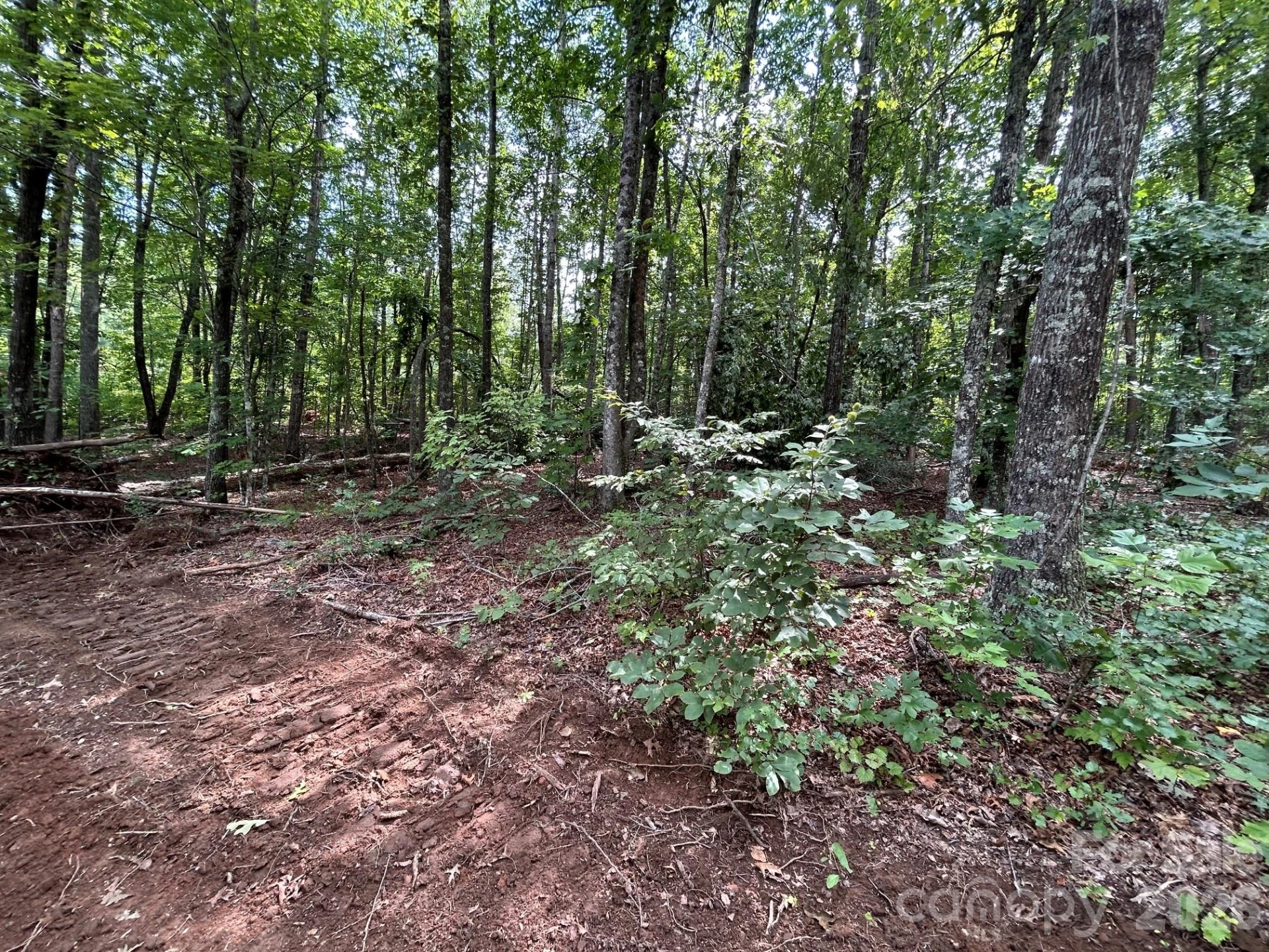 V/L Lotus Drive #19 - Photo 34