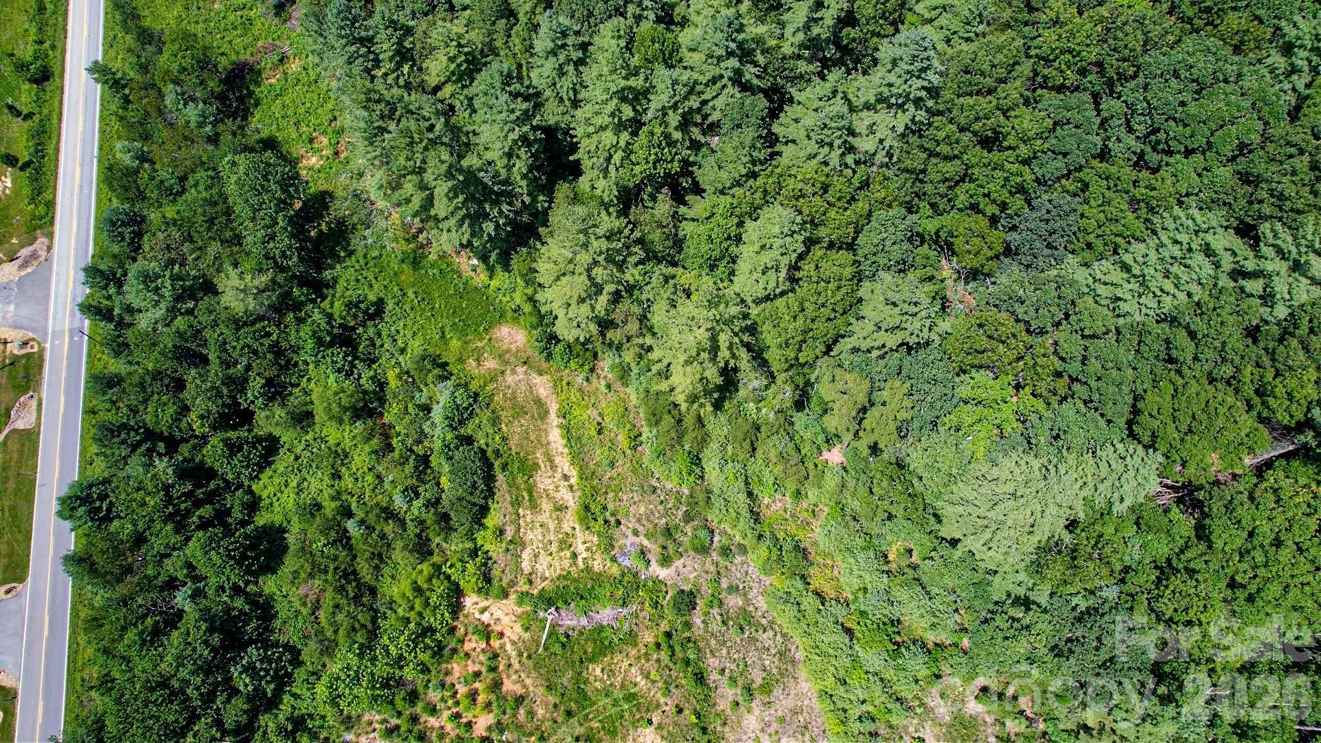99999 Burney Mountain Road - Photo 7
