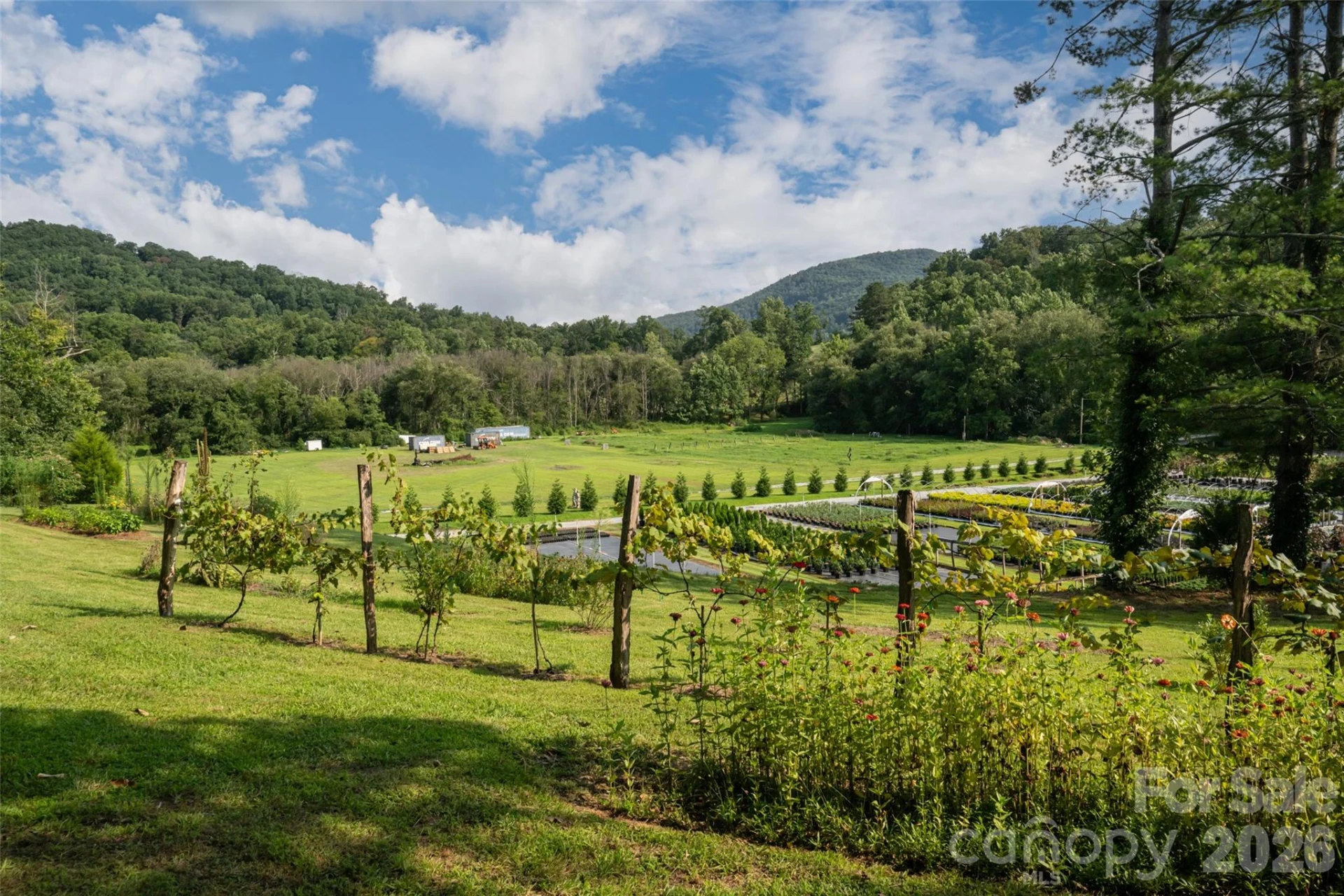 234 Carnelian Drive - Photo 6