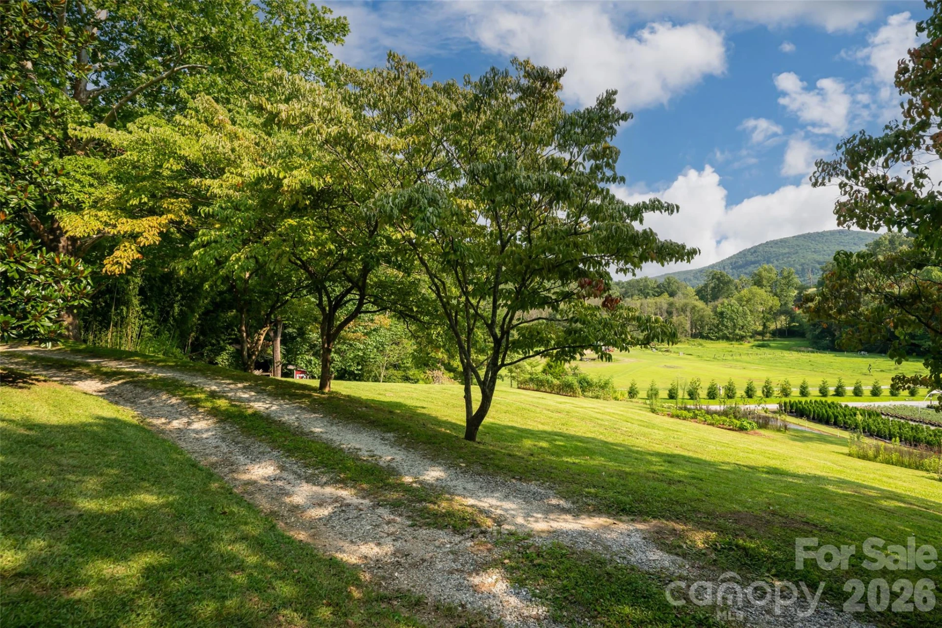 234 Carnelian Drive - Photo 40