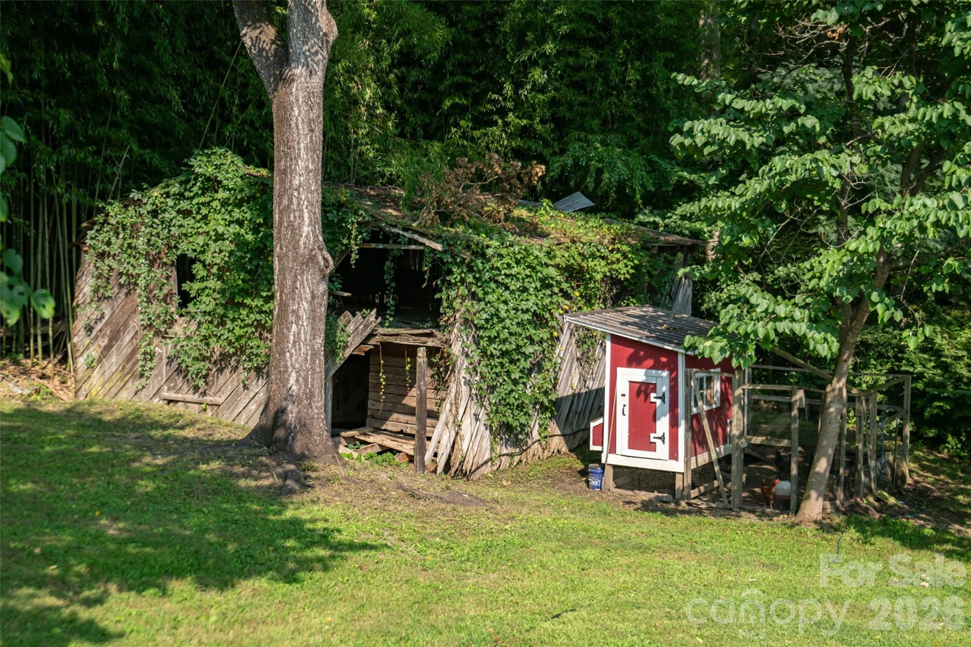 234 Carnelian Drive - Photo 45