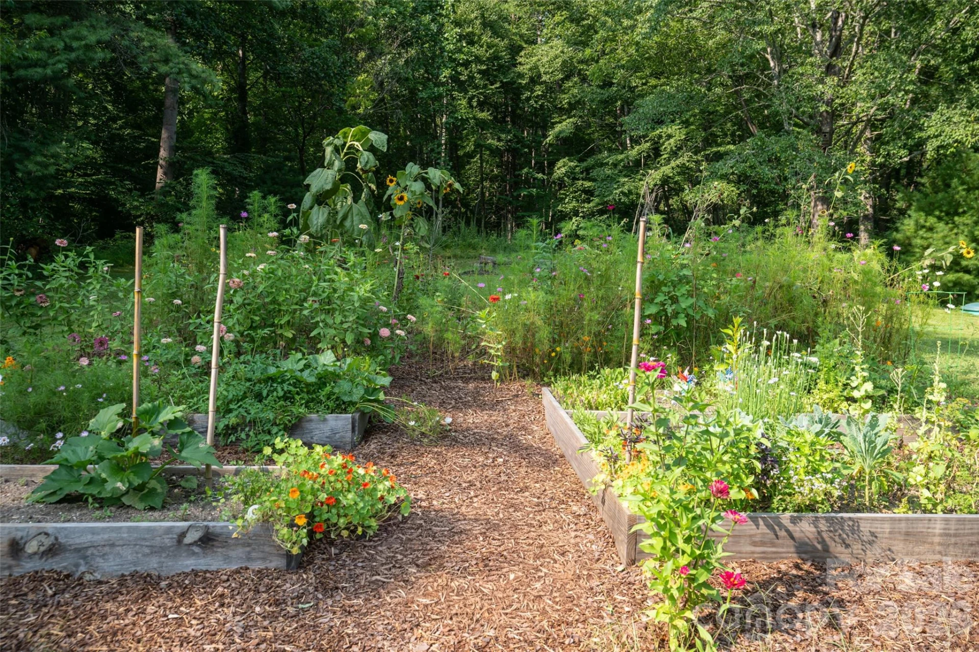 234 Carnelian Drive - Photo 47