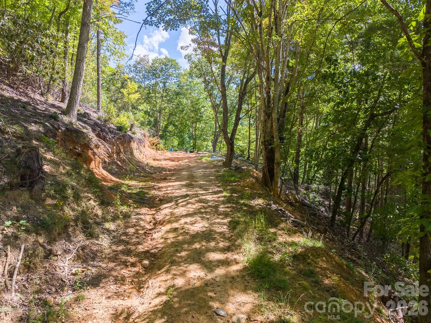207 Little Horse Road - Photo 26