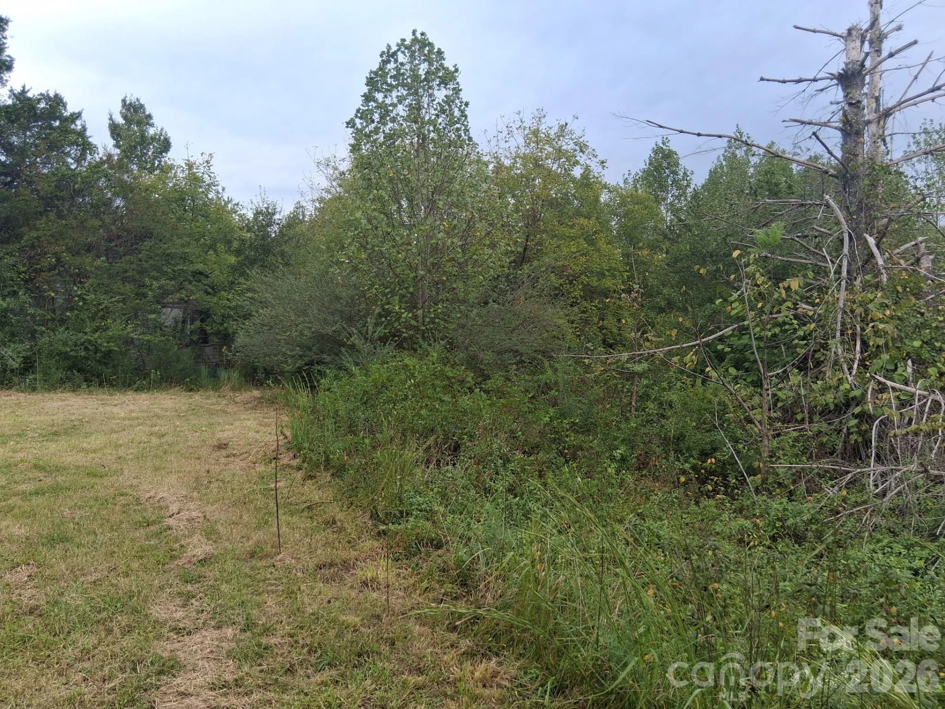 0 Hopewell Road - Photo 9