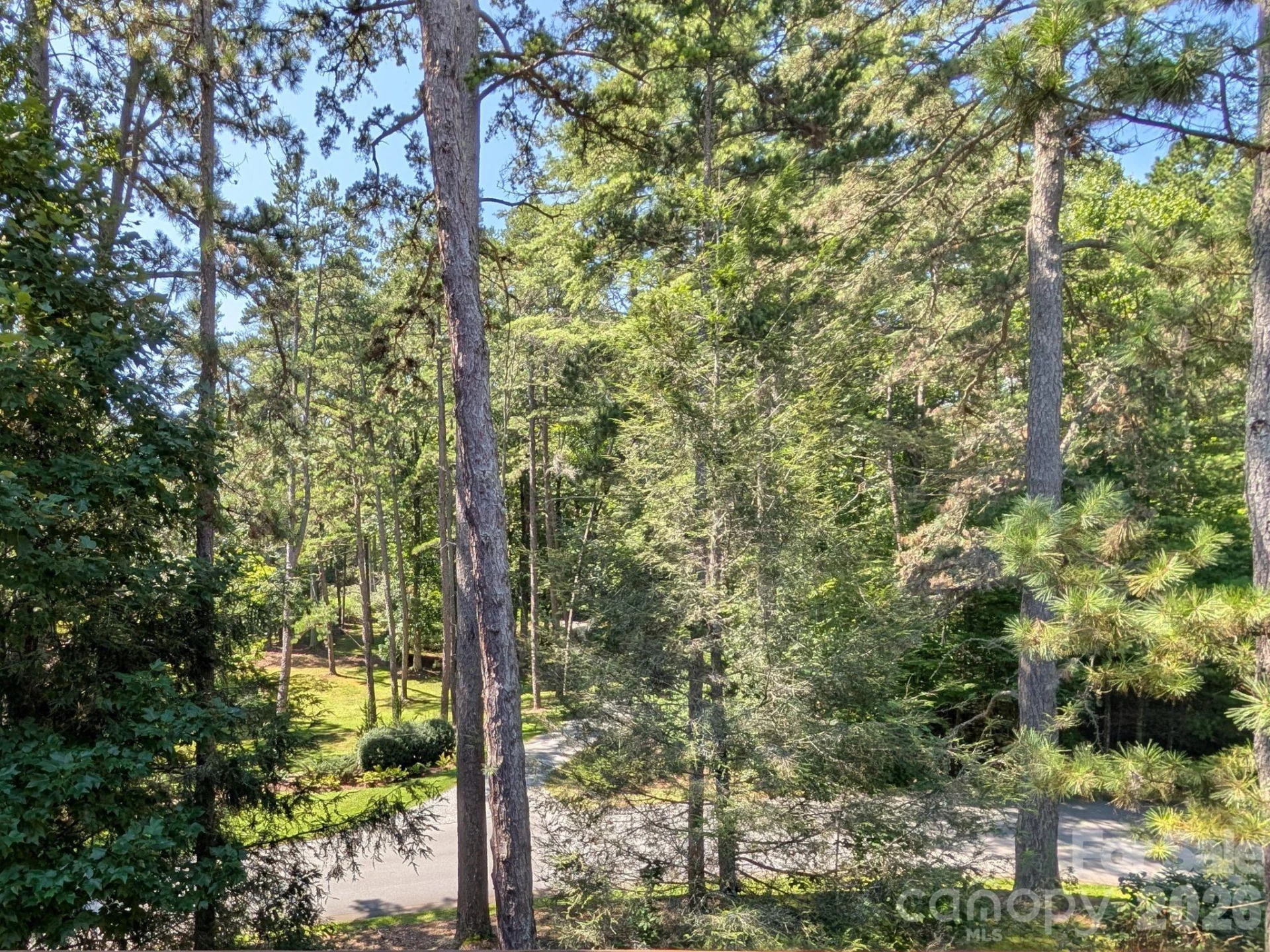 47 Ridgetop Circle #202 - Photo 10