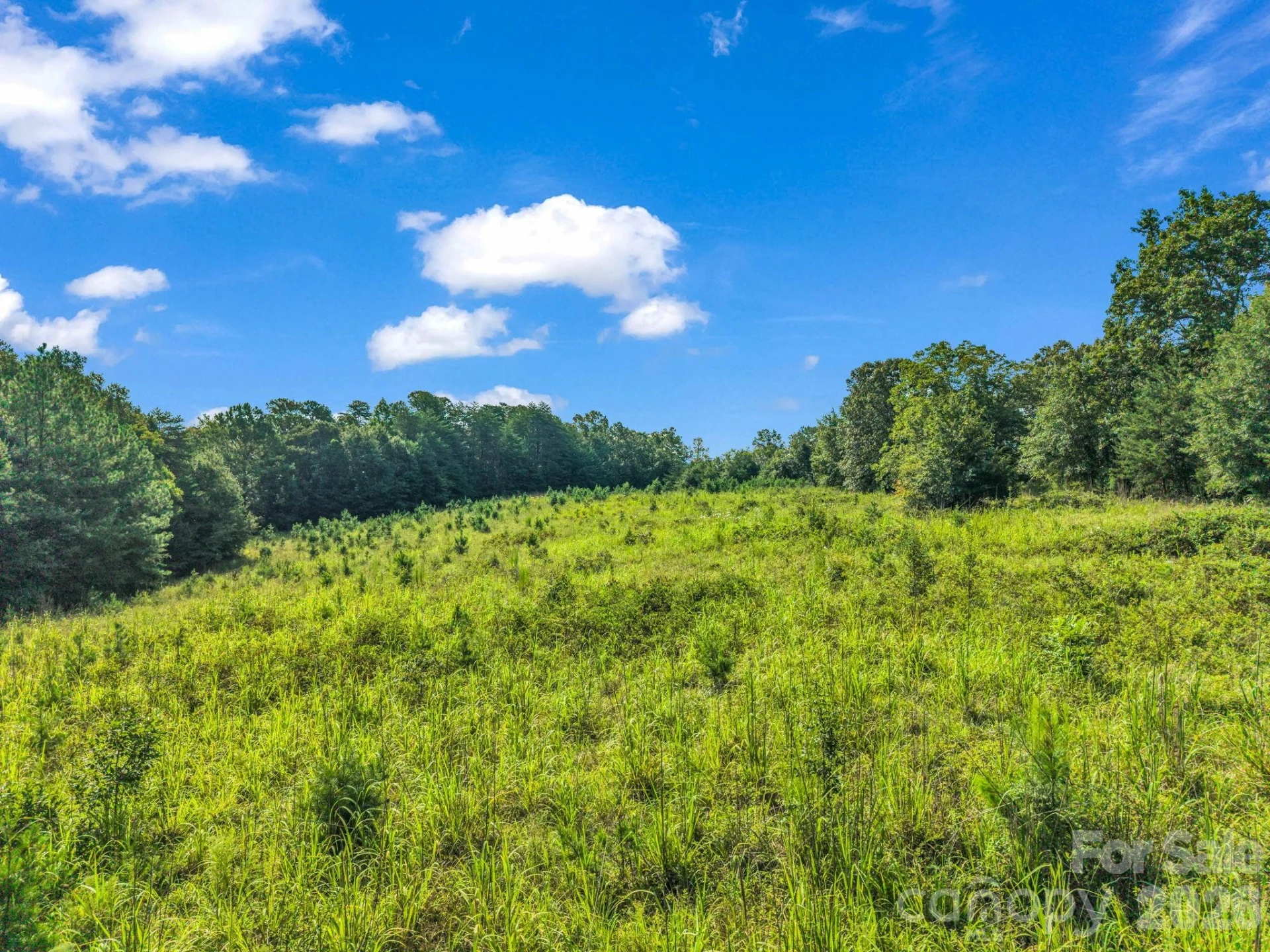 2165 Nc 120 Highway - Photo 5