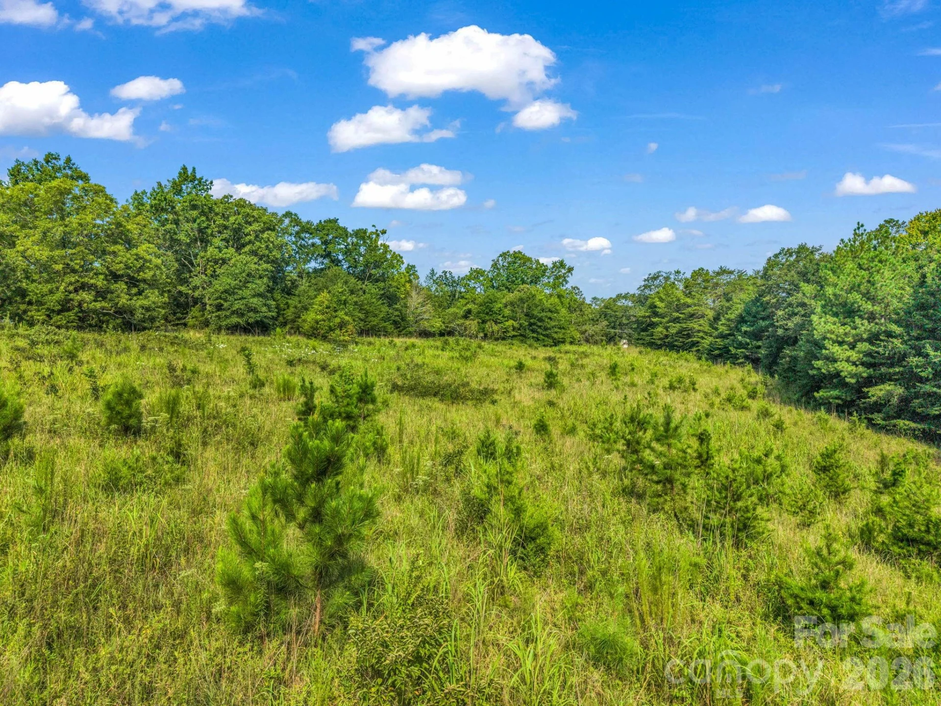 2165 Nc 120 Highway - Photo 6