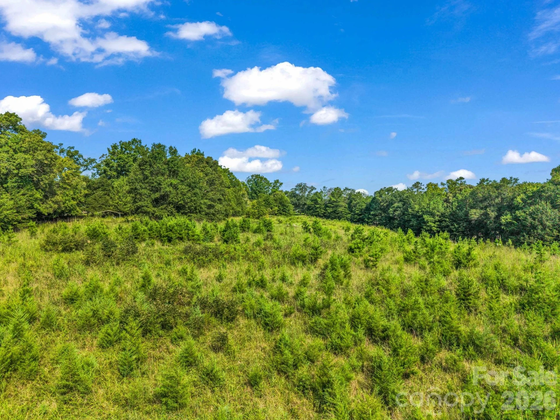 2165 Nc 120 Highway - Photo 7