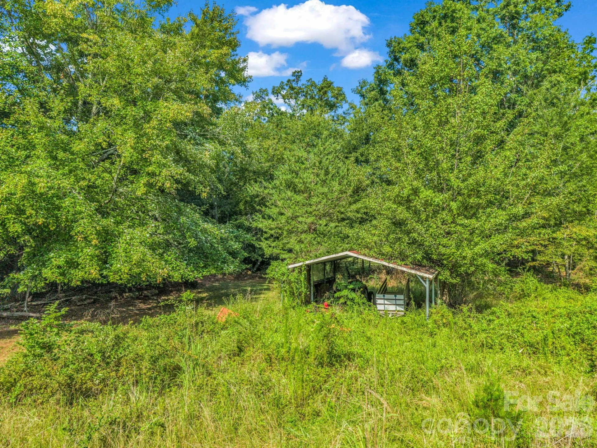 2165 Nc 120 Highway - Photo 8