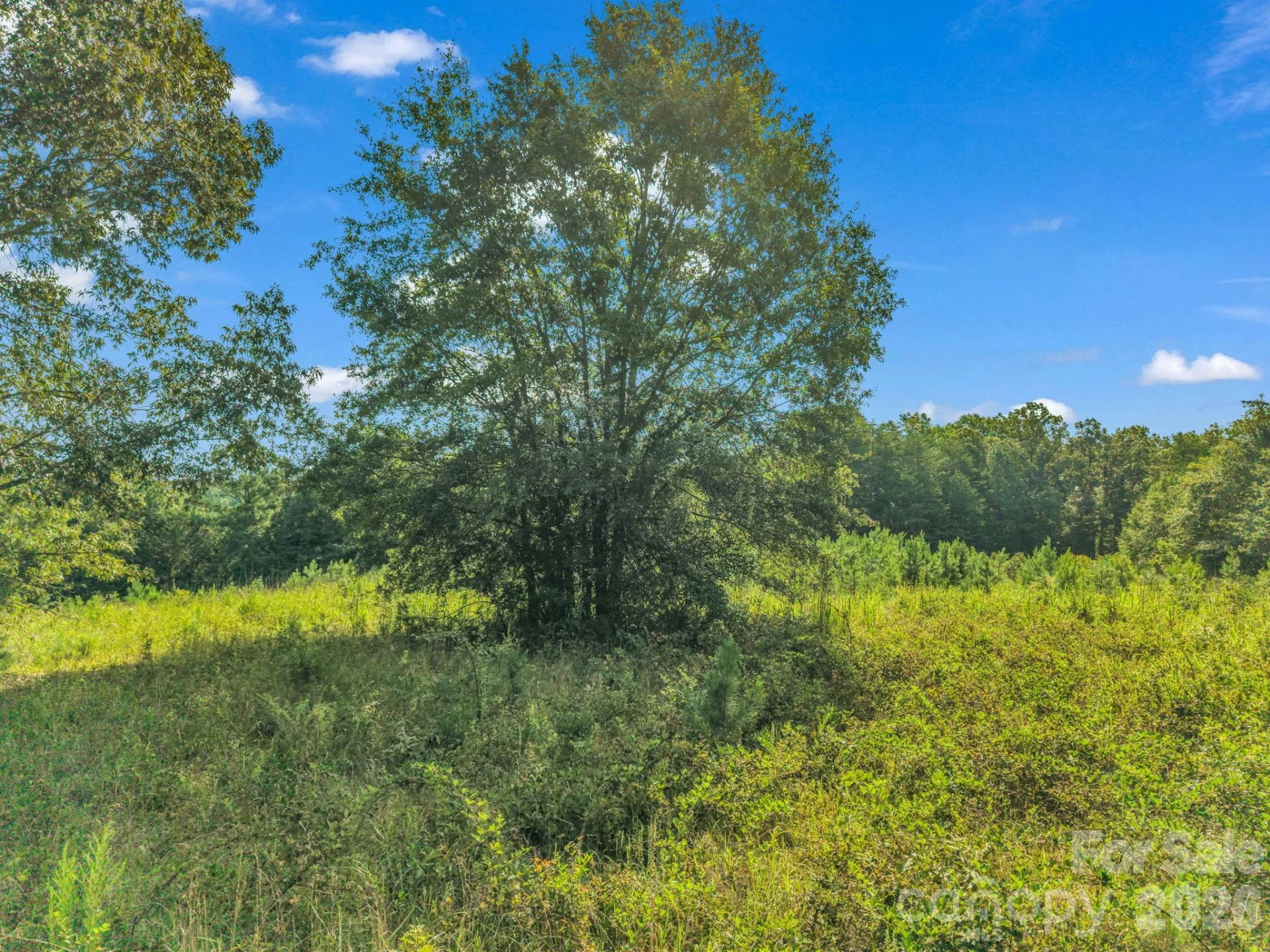 2165 Nc 120 Highway - Photo 9