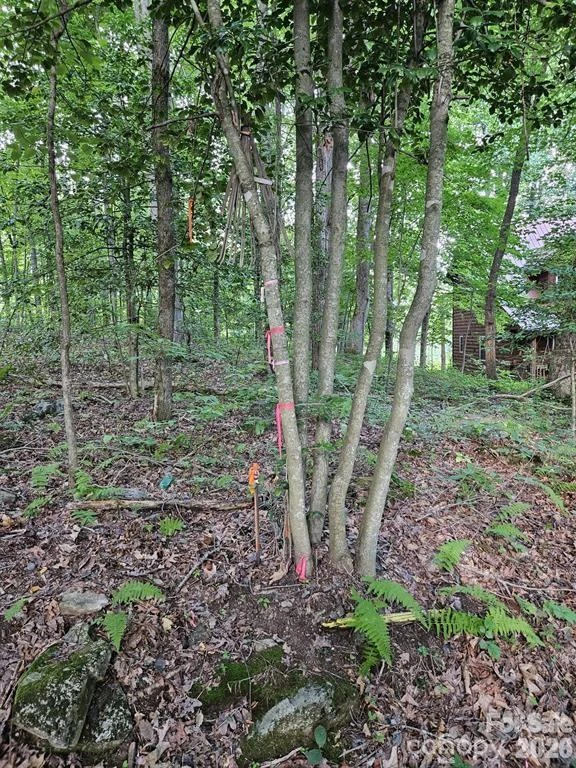 00 Hannah Hill Road #3 - Photo 3