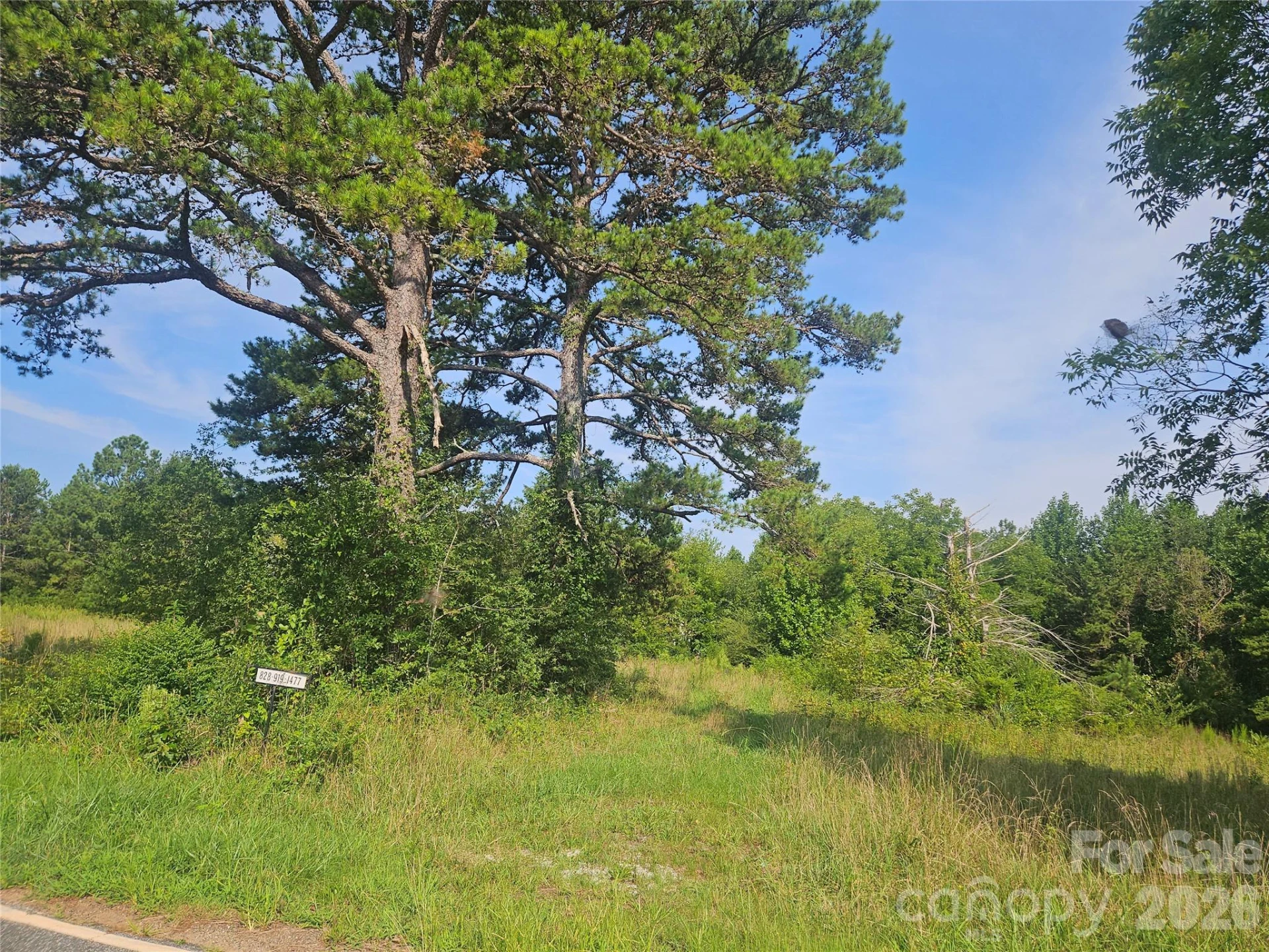 00 Hopewell Road - Photo 2