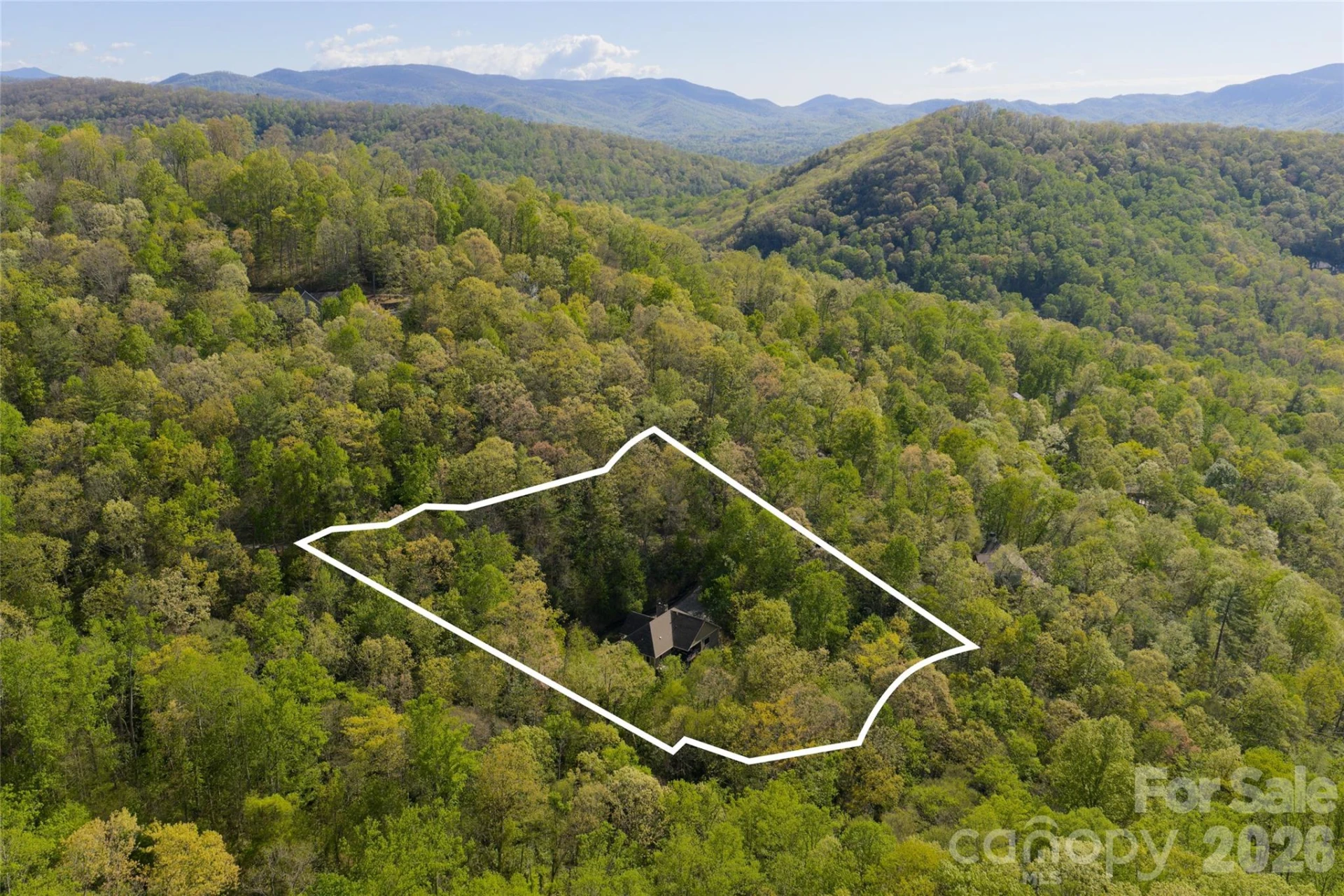 36 Snowshoe Drive - Photo 7
