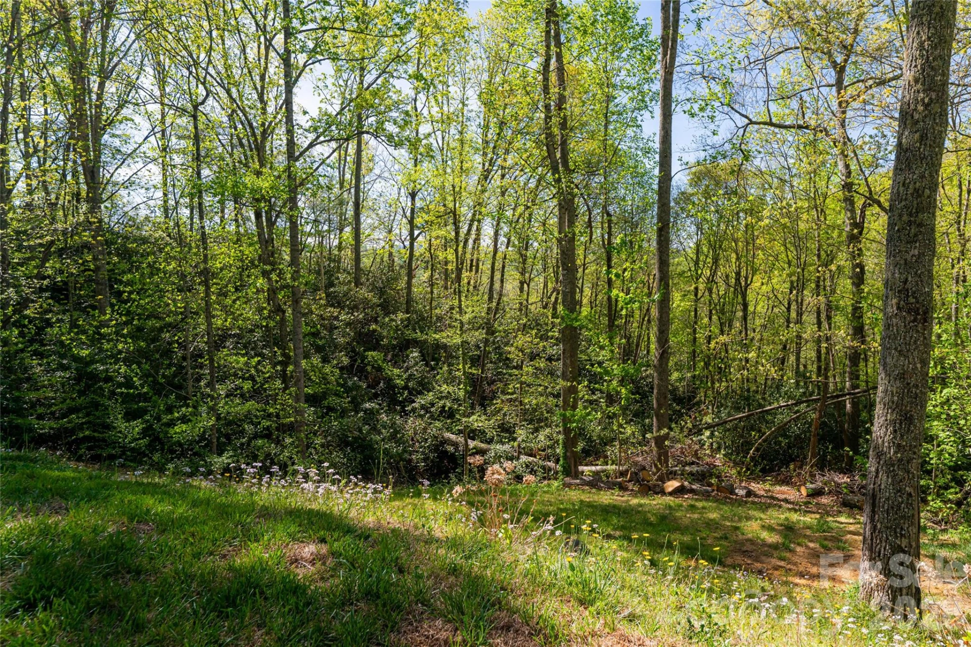 36 Snowshoe Drive - Photo 27