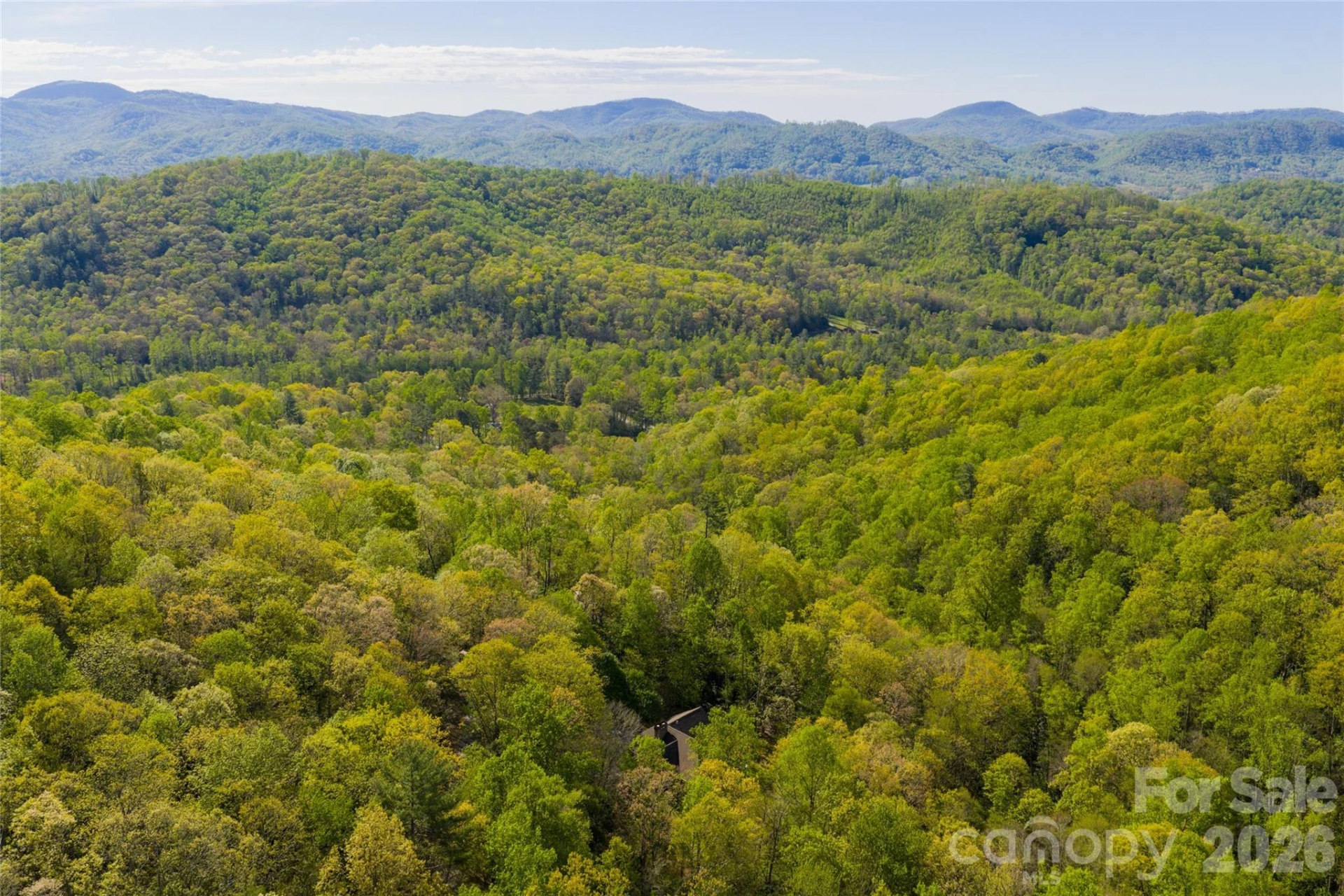 36 Snowshoe Drive - Photo 2