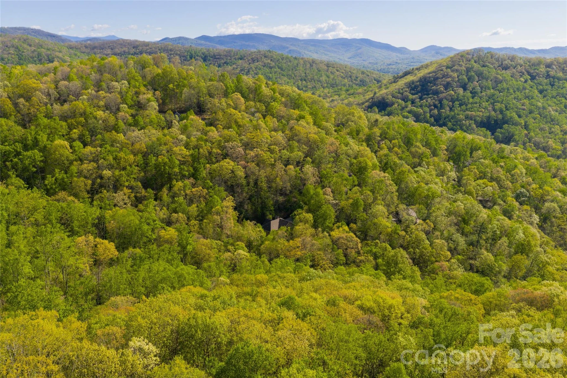 36 Snowshoe Drive - Photo 4