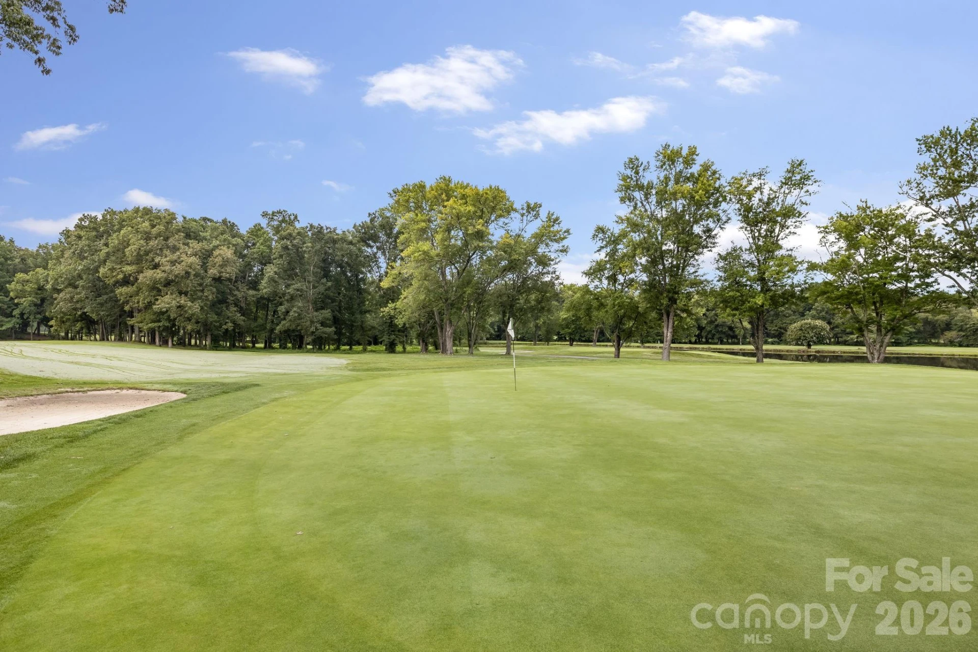 15 Moland Drive #A - Photo 42
