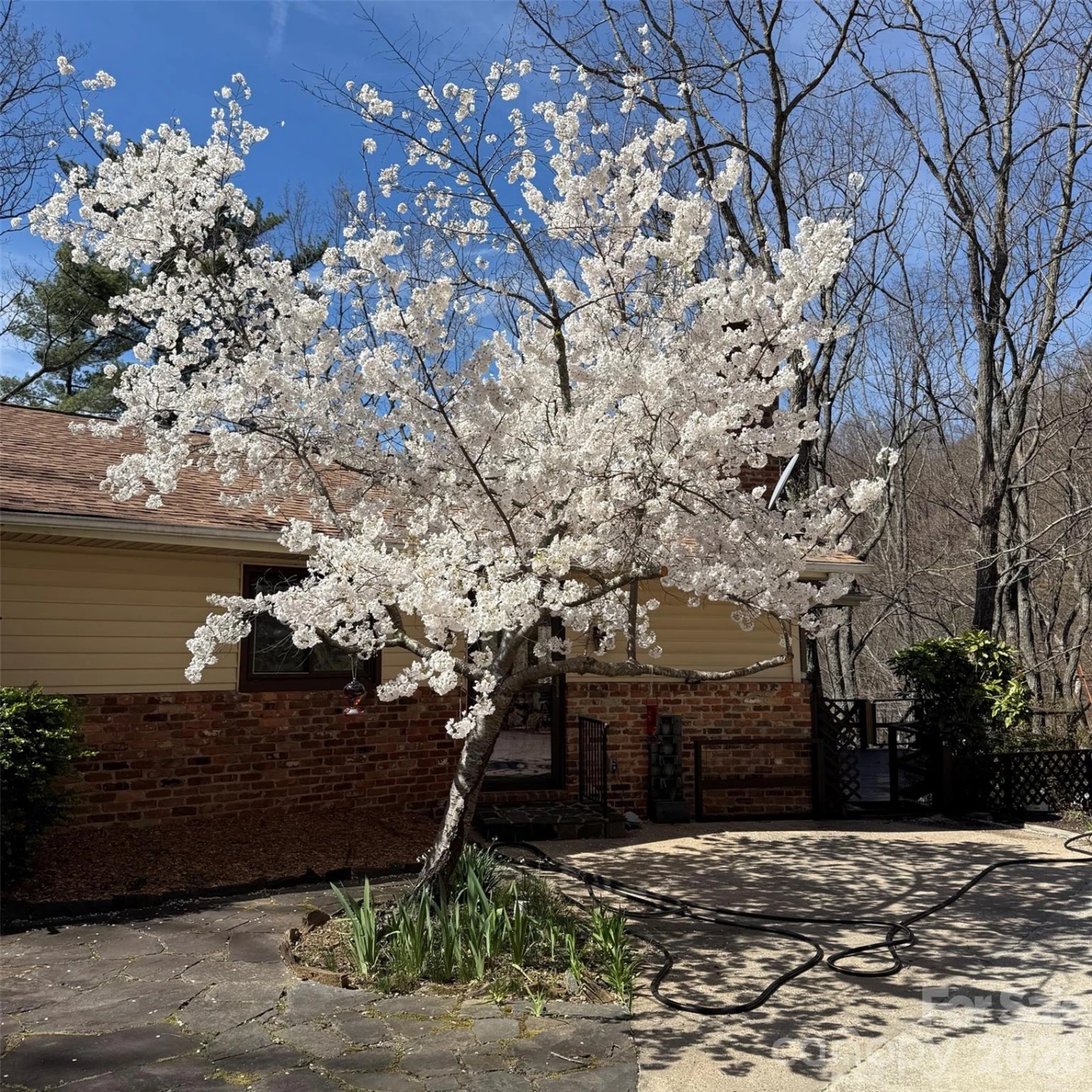 12 E Park Drive - Photo 6