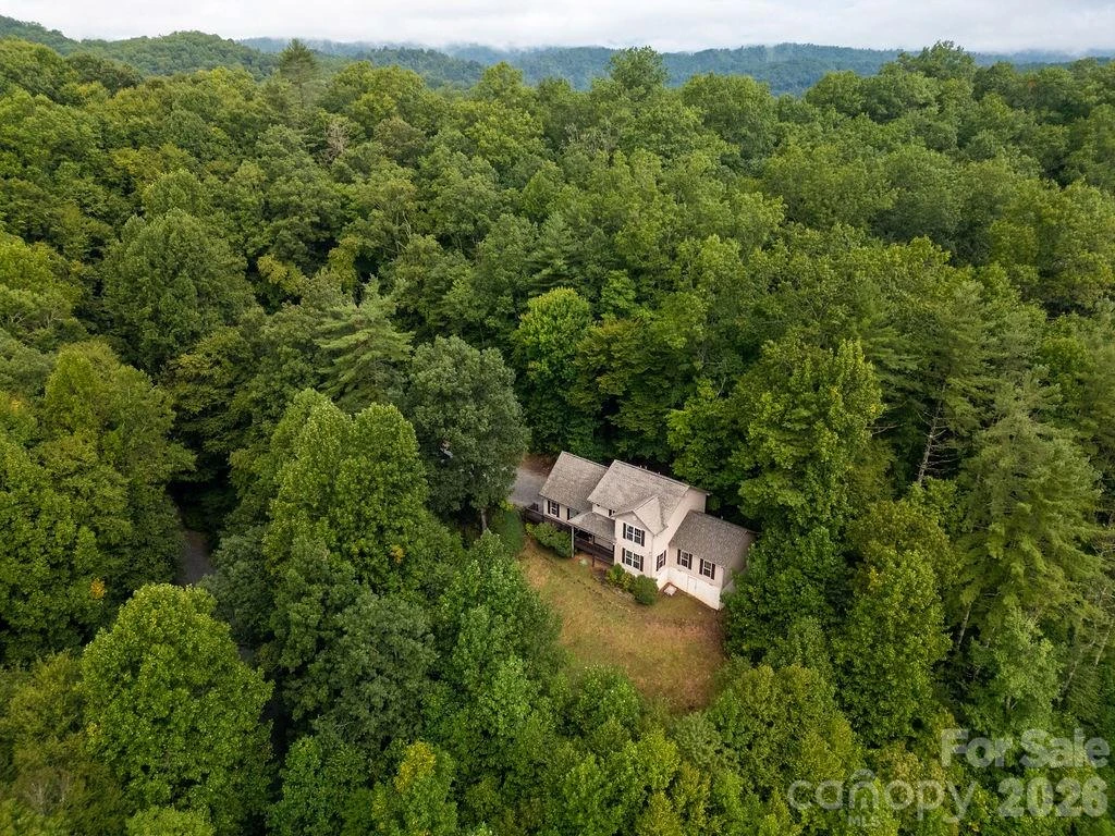 62 Pine Hill Drive - Photo 3