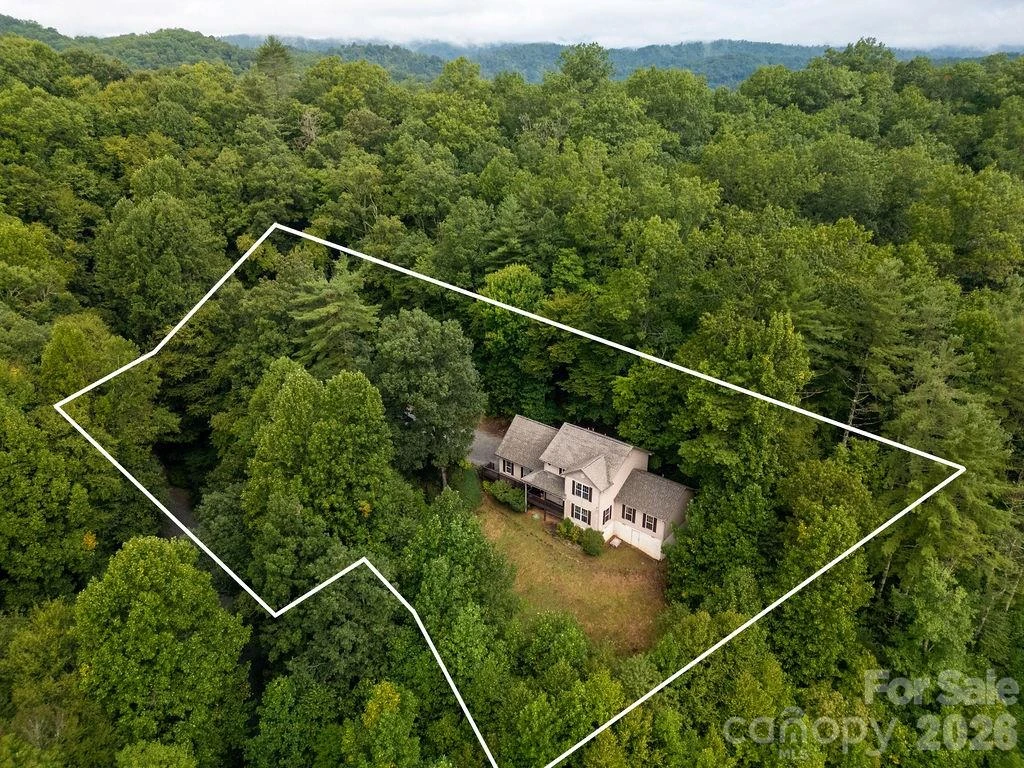62 Pine Hill Drive - Photo 4
