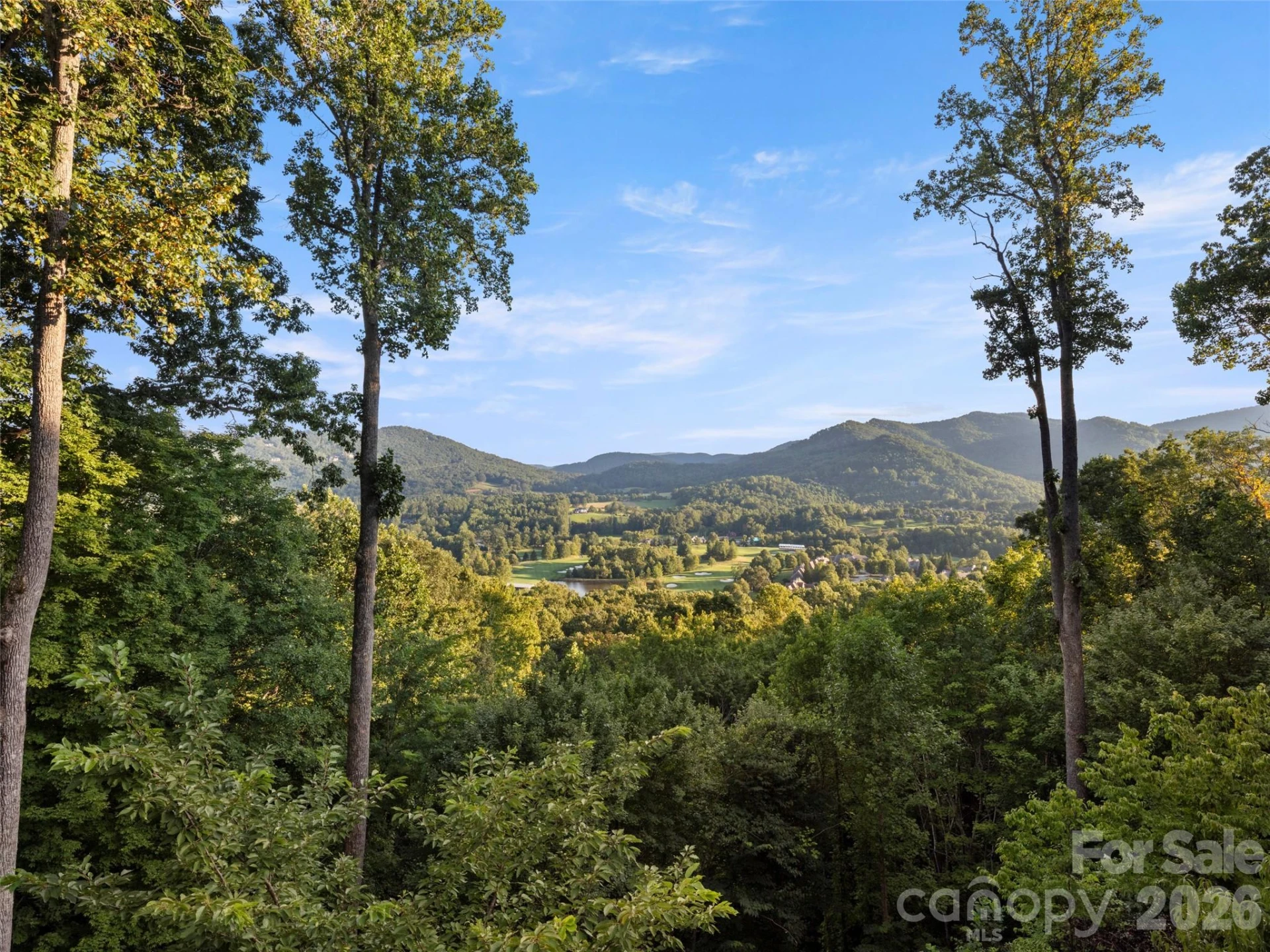 994 Clovertop Lane - Photo 41