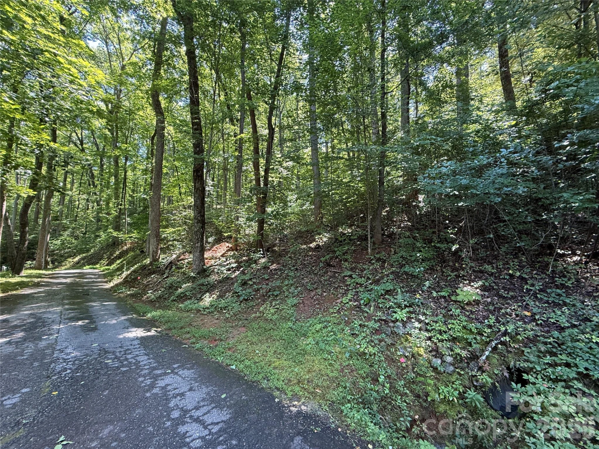 Lot 114 High Pines Loop - Photo 7