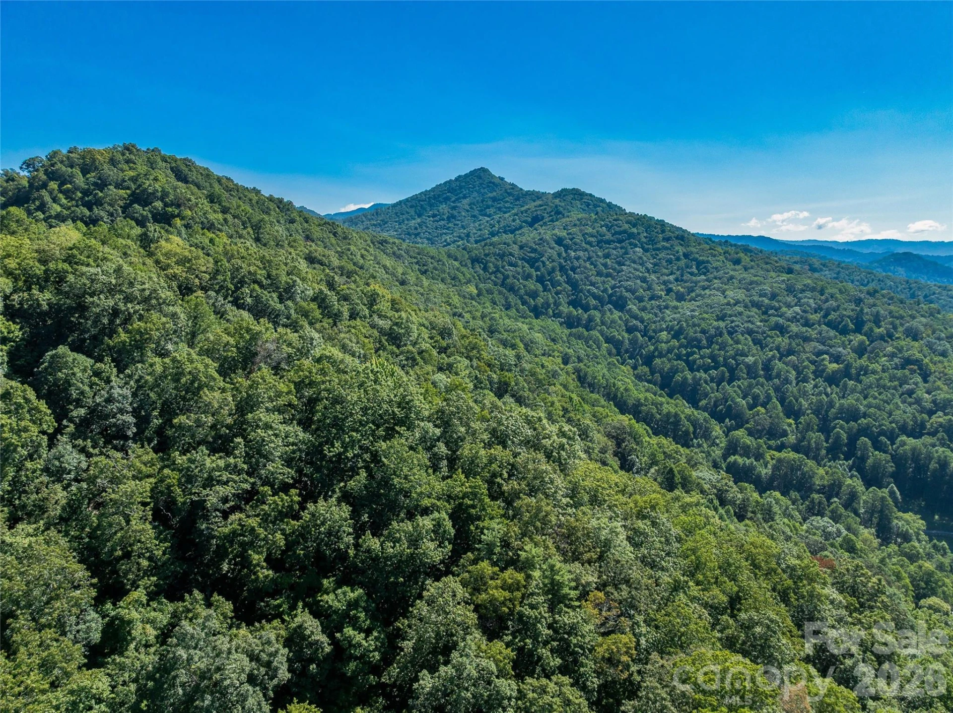 9999 Panther Creek Road #B - Photo 16