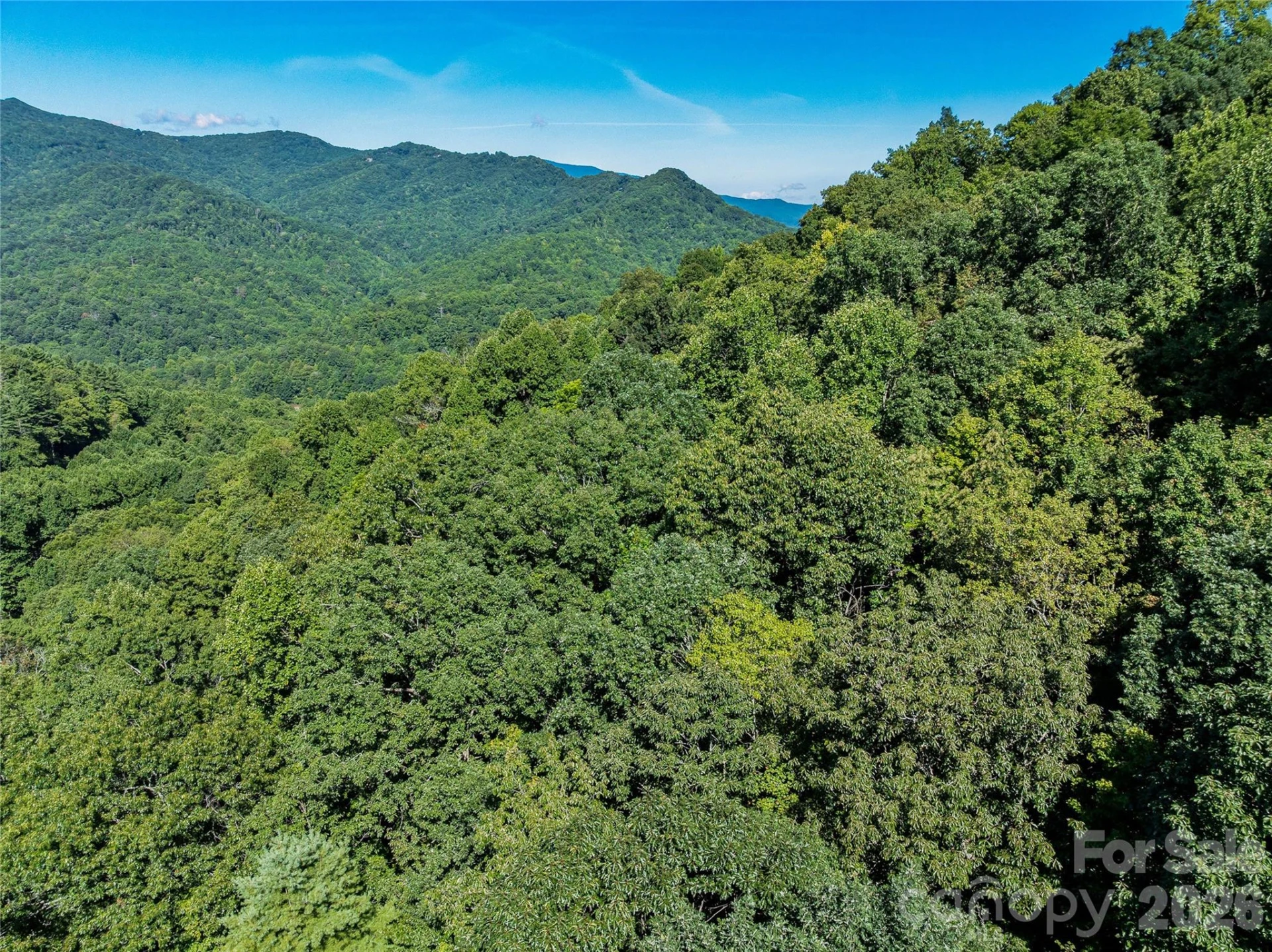 9999 Panther Creek Road #B - Photo 17