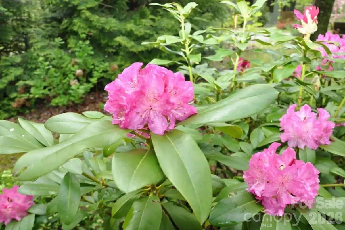 520 Esseola Street - Photo 35