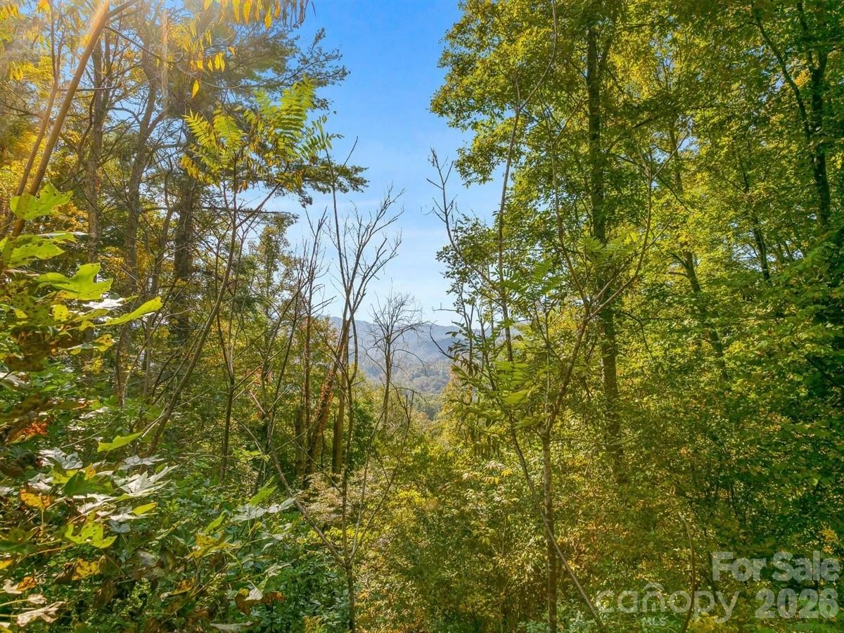 TBD Laurel Heights #35