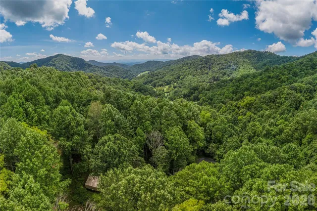 99999 Rabbit Run, Marshall, NC, 28753