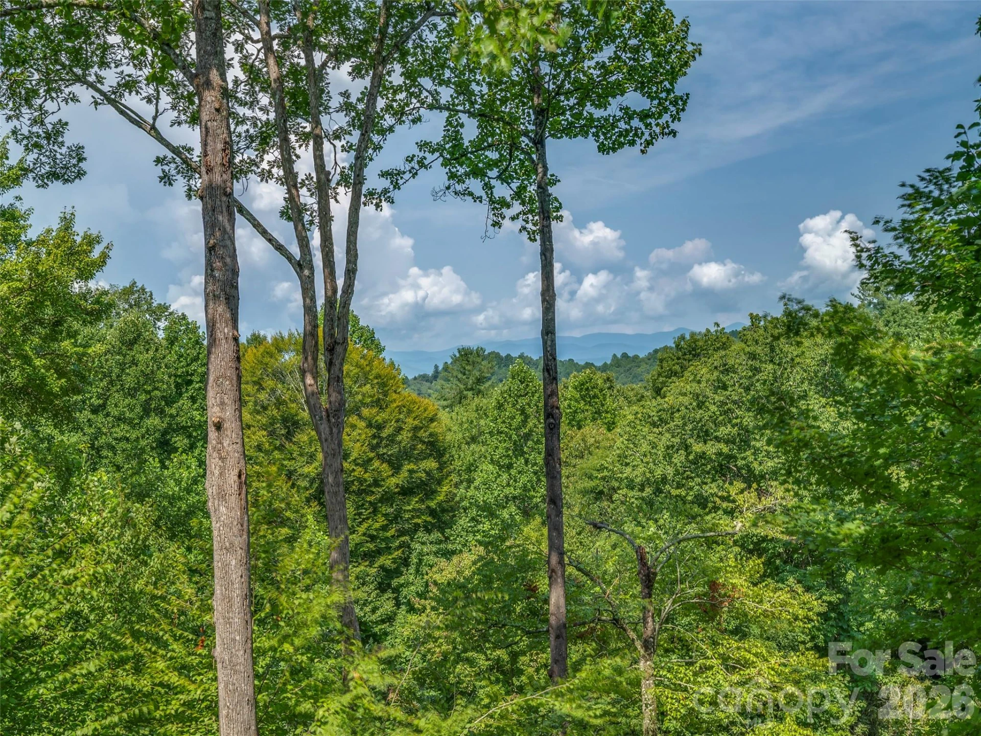 75 Old Hickory Trail - Photo 27