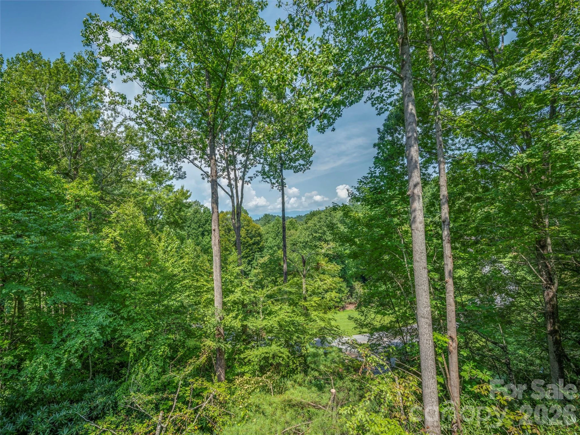 75 Old Hickory Trail - Photo 28