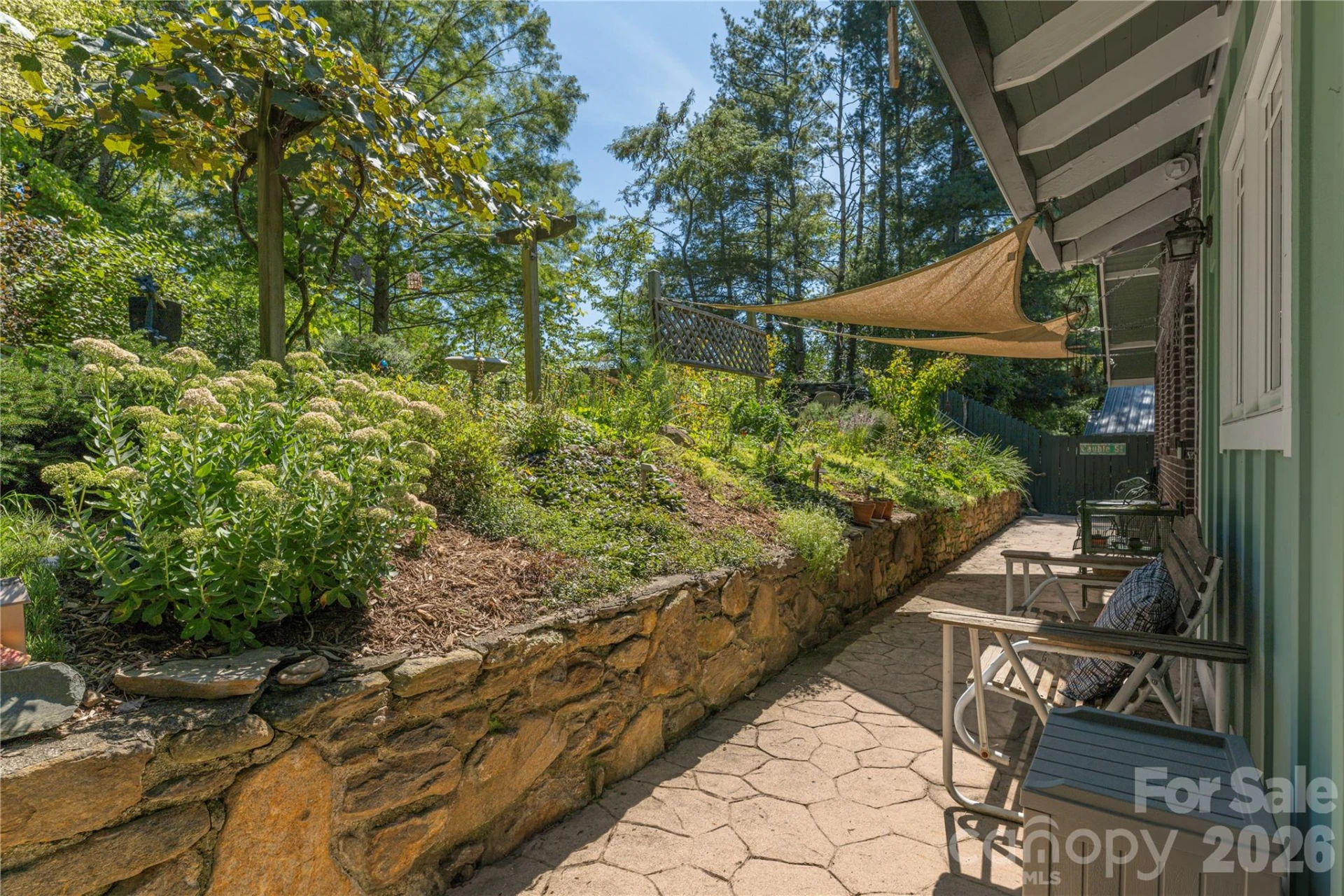 29 Hillside Street - Photo 4