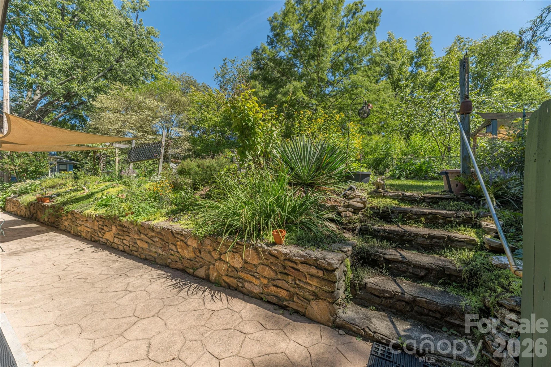 29 Hillside Street - Photo 22
