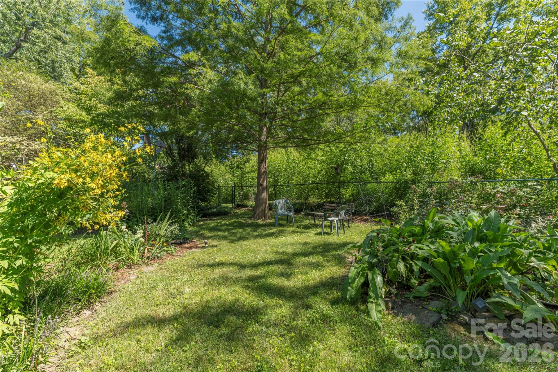 29 Hillside Street - Photo 24