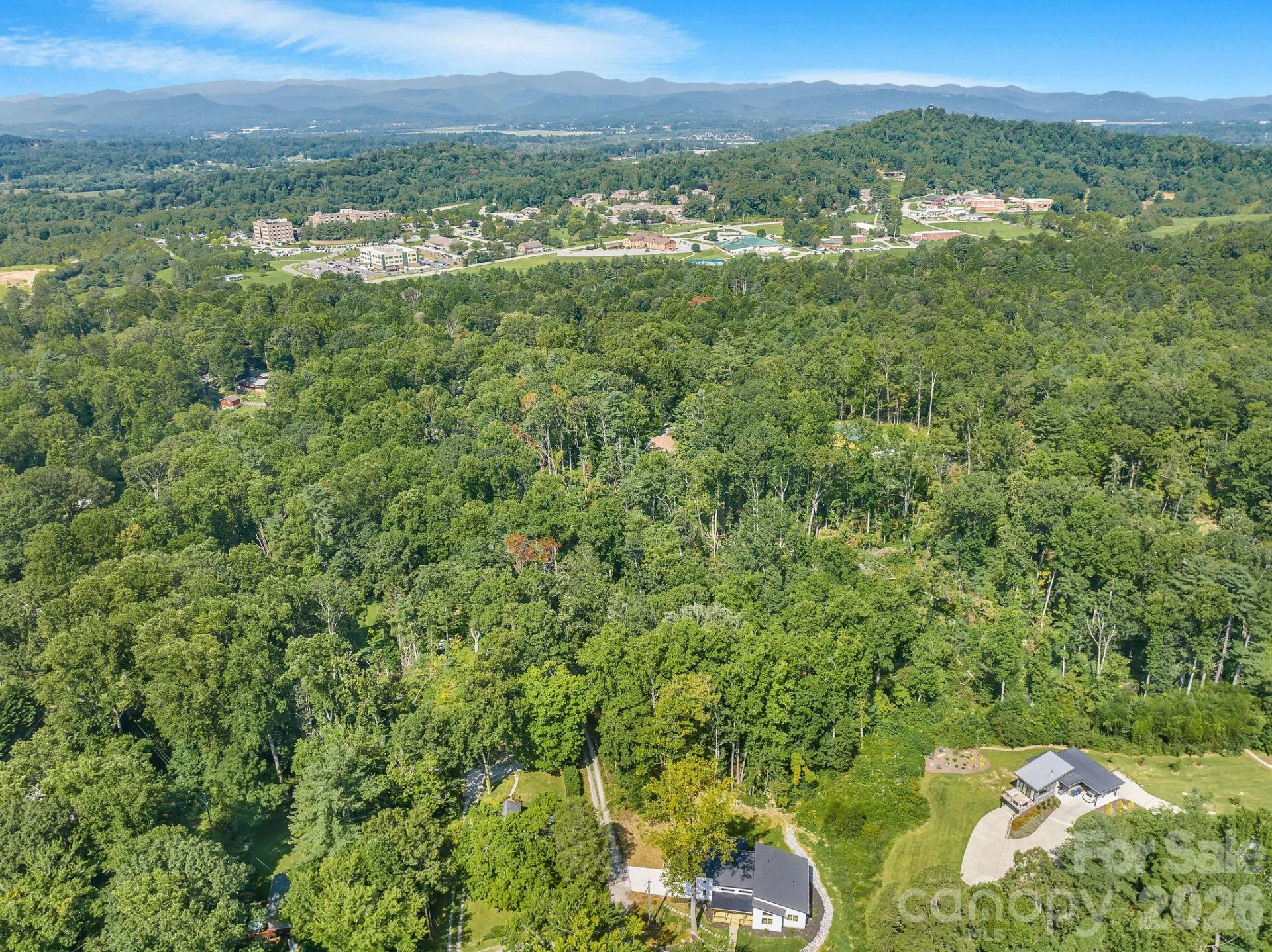 447 Blooming Laurel Drive - Photo 6