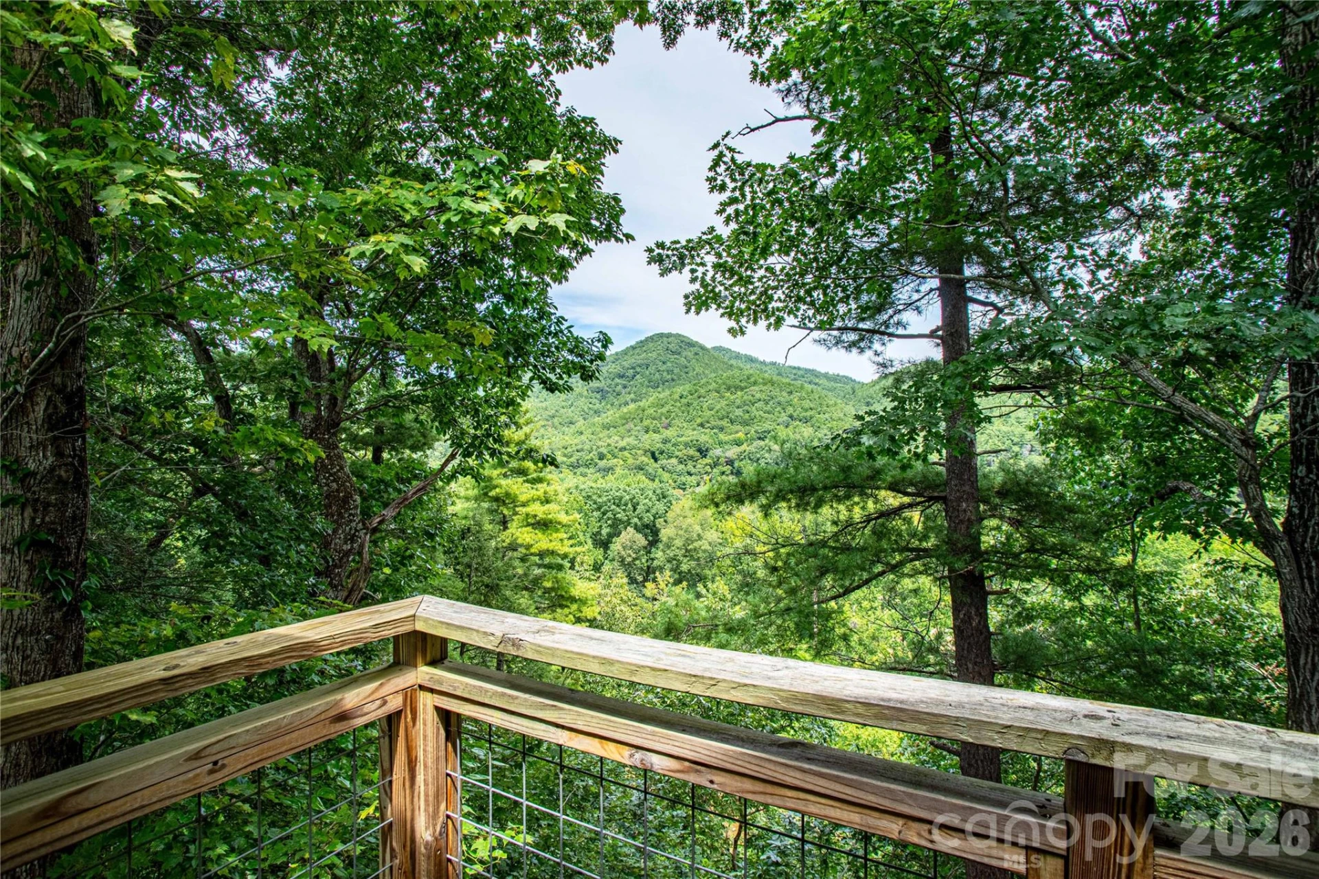 1295 Paint Rock Road - Photo 38